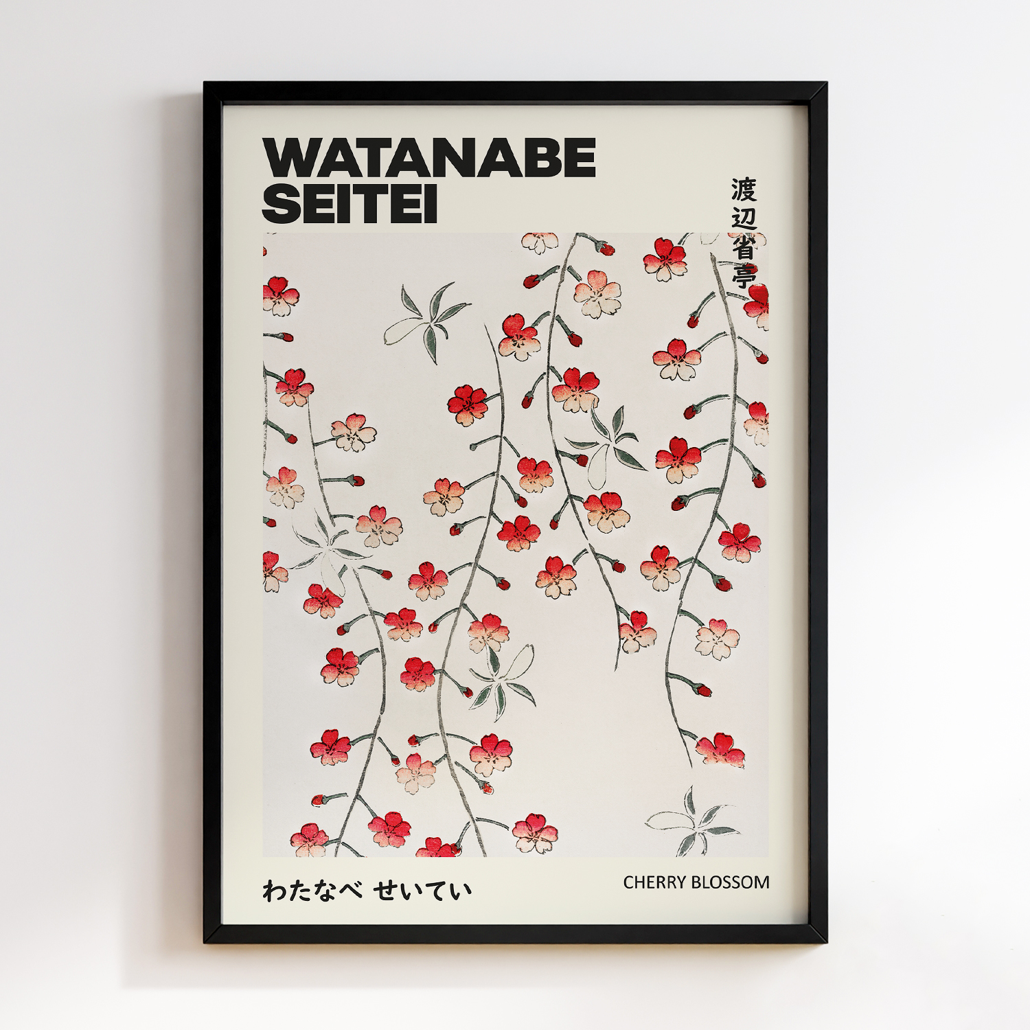 Cherry Blossom illustration of Shin Bijutsukai by Watanabe Seitei