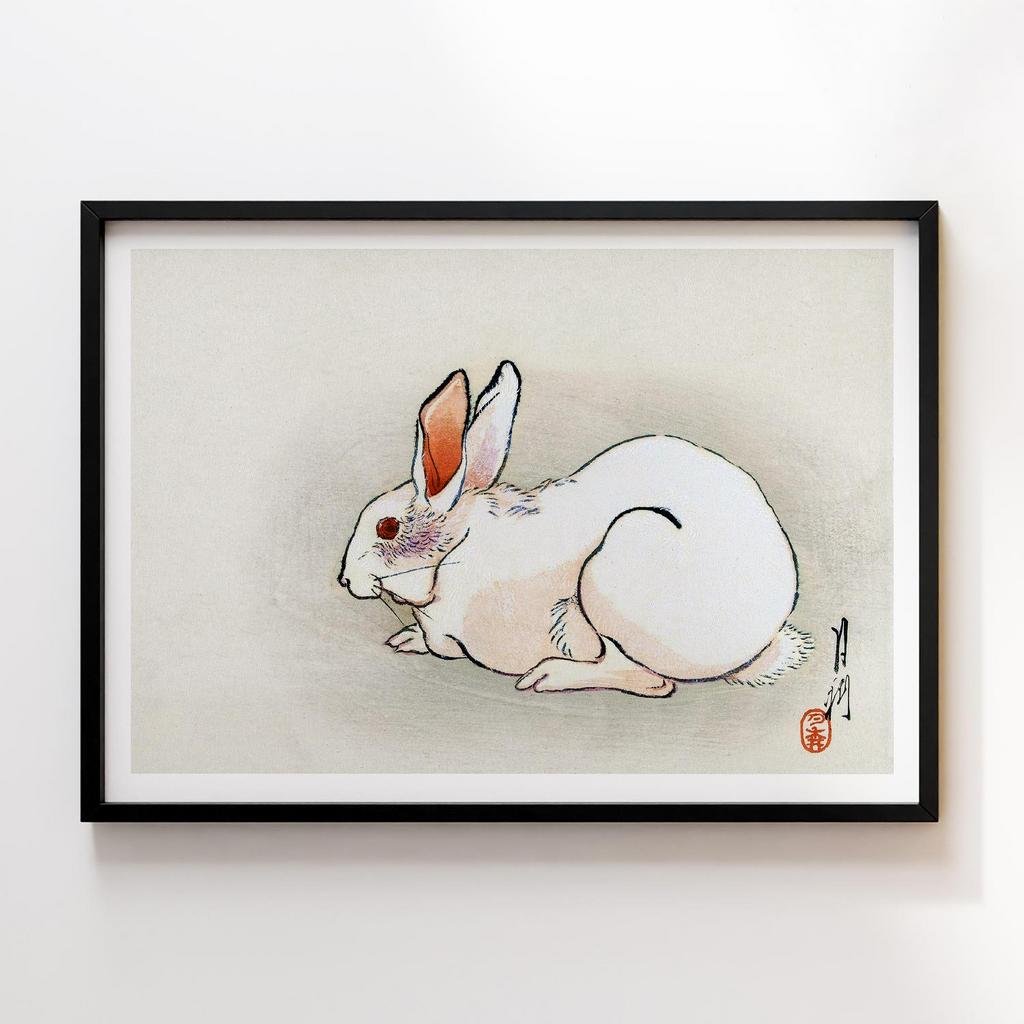 Wit konijn (1900–1910) by Ogata Gekko