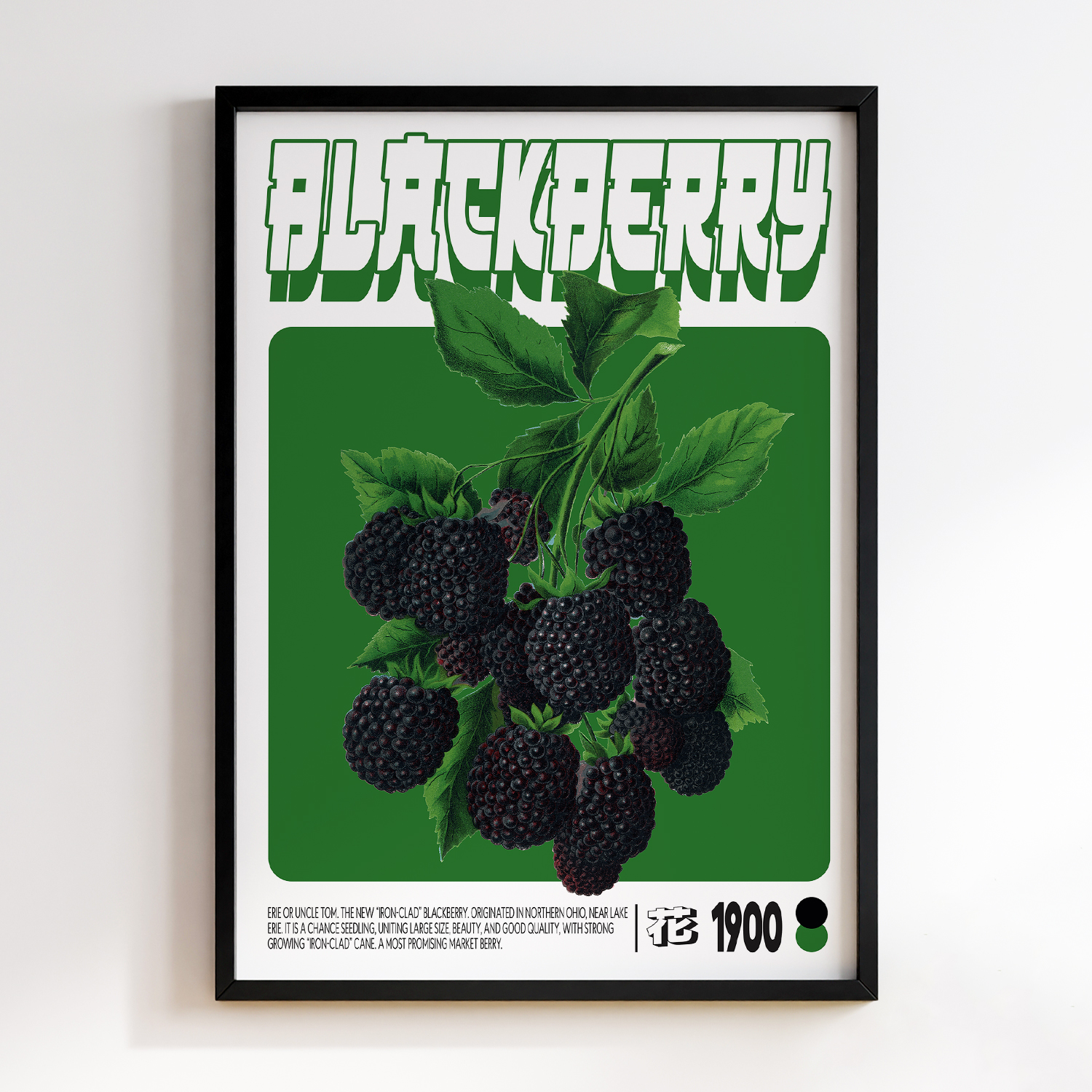 Blackberry