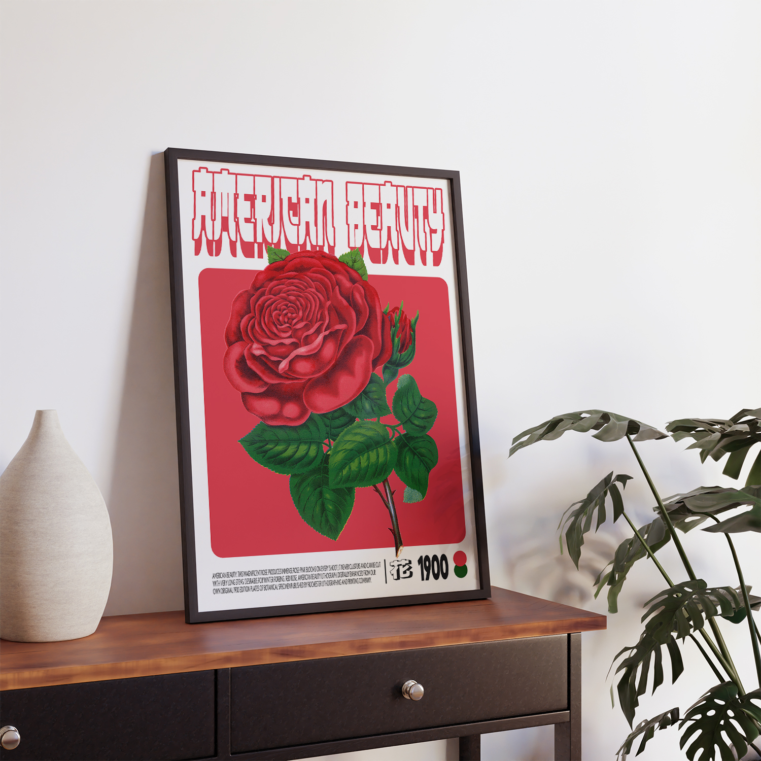 Red rose, American Beauty