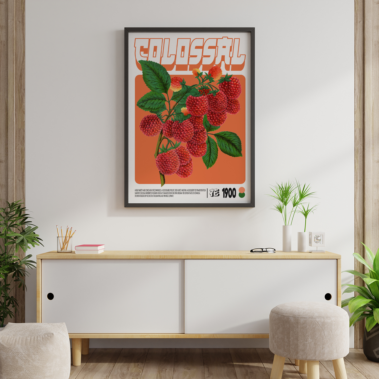 Shaffer's Colossal Raspberry