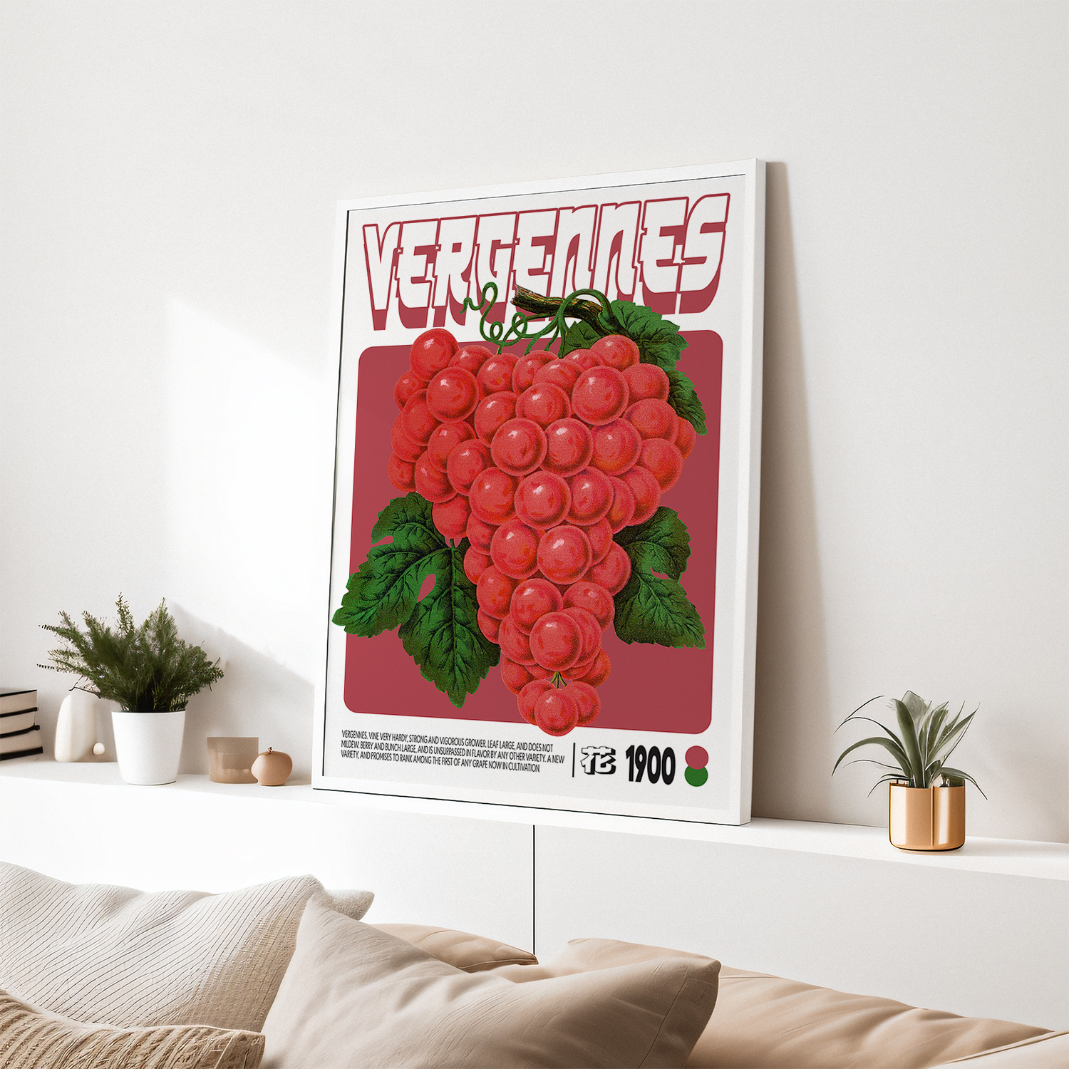 Vergennes Grape