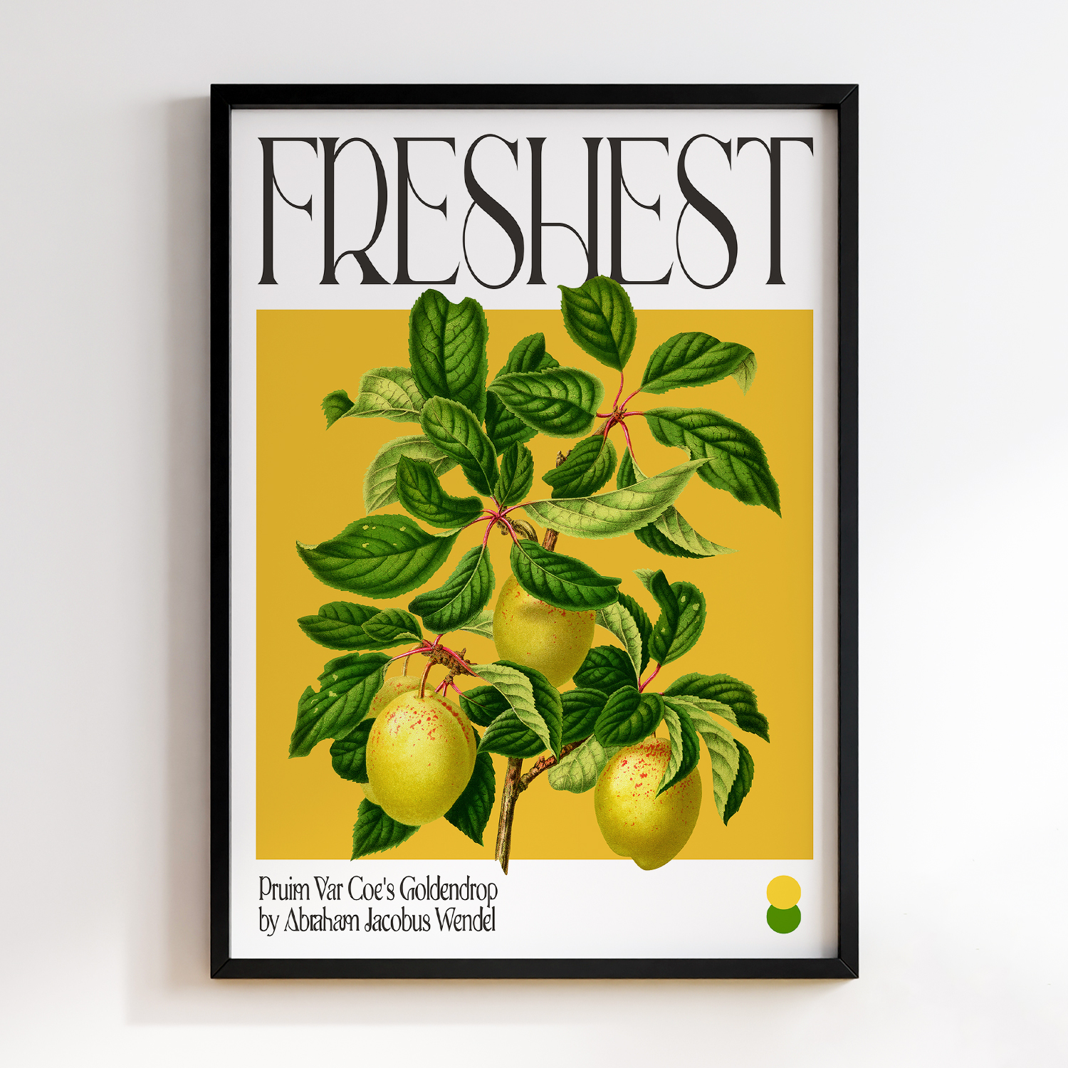 Botanical Pruim Var Coe's Goldendrop