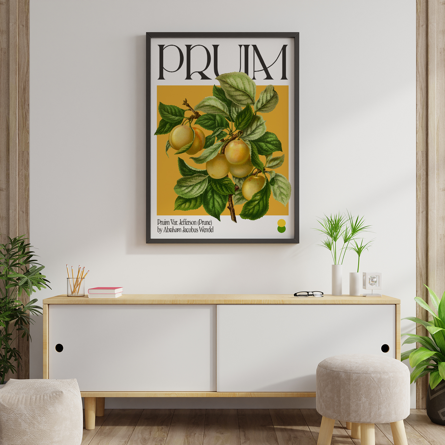 Botanical Pruim Var. Jefferson (Prune)