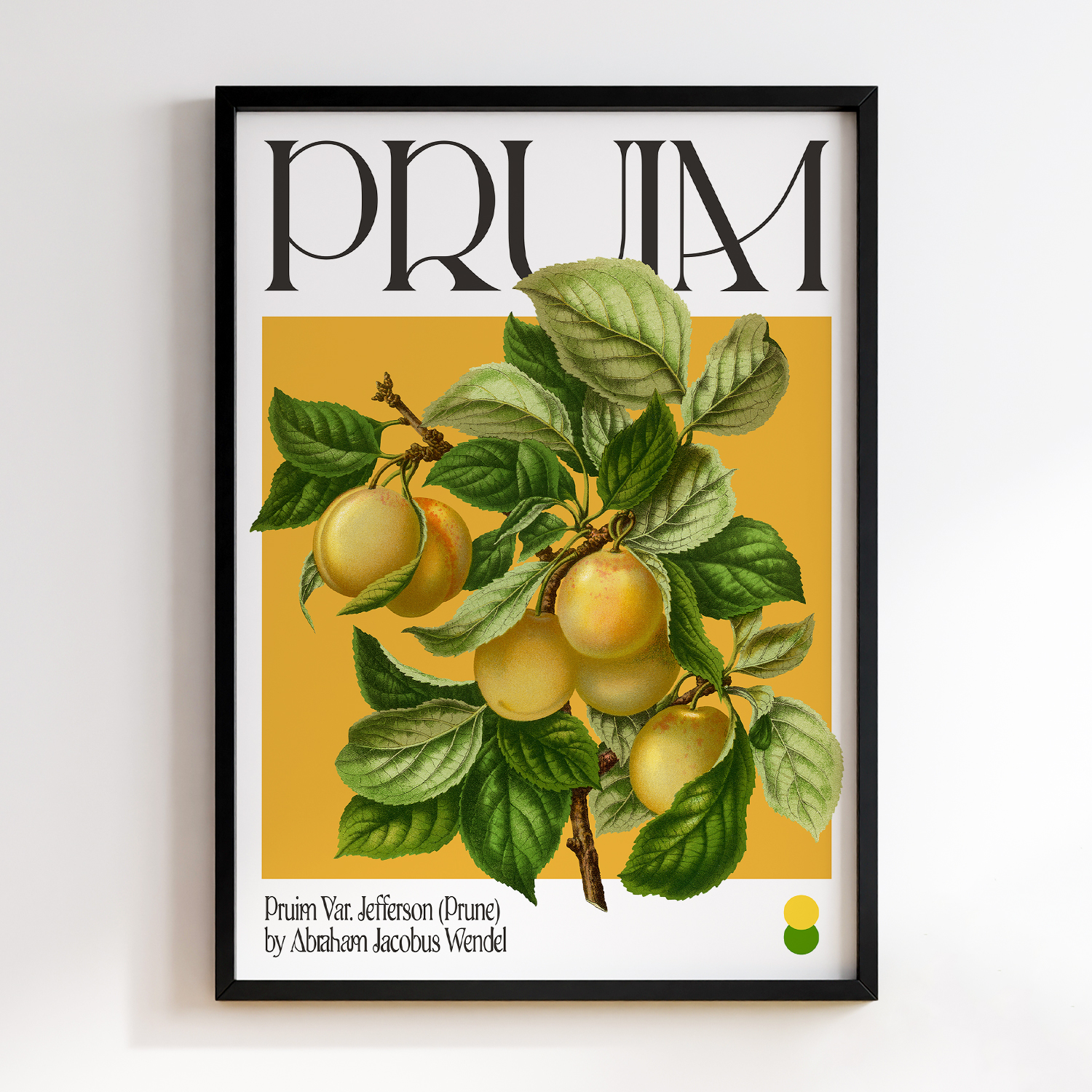 Botanical Pruim Var. Jefferson (Prune)