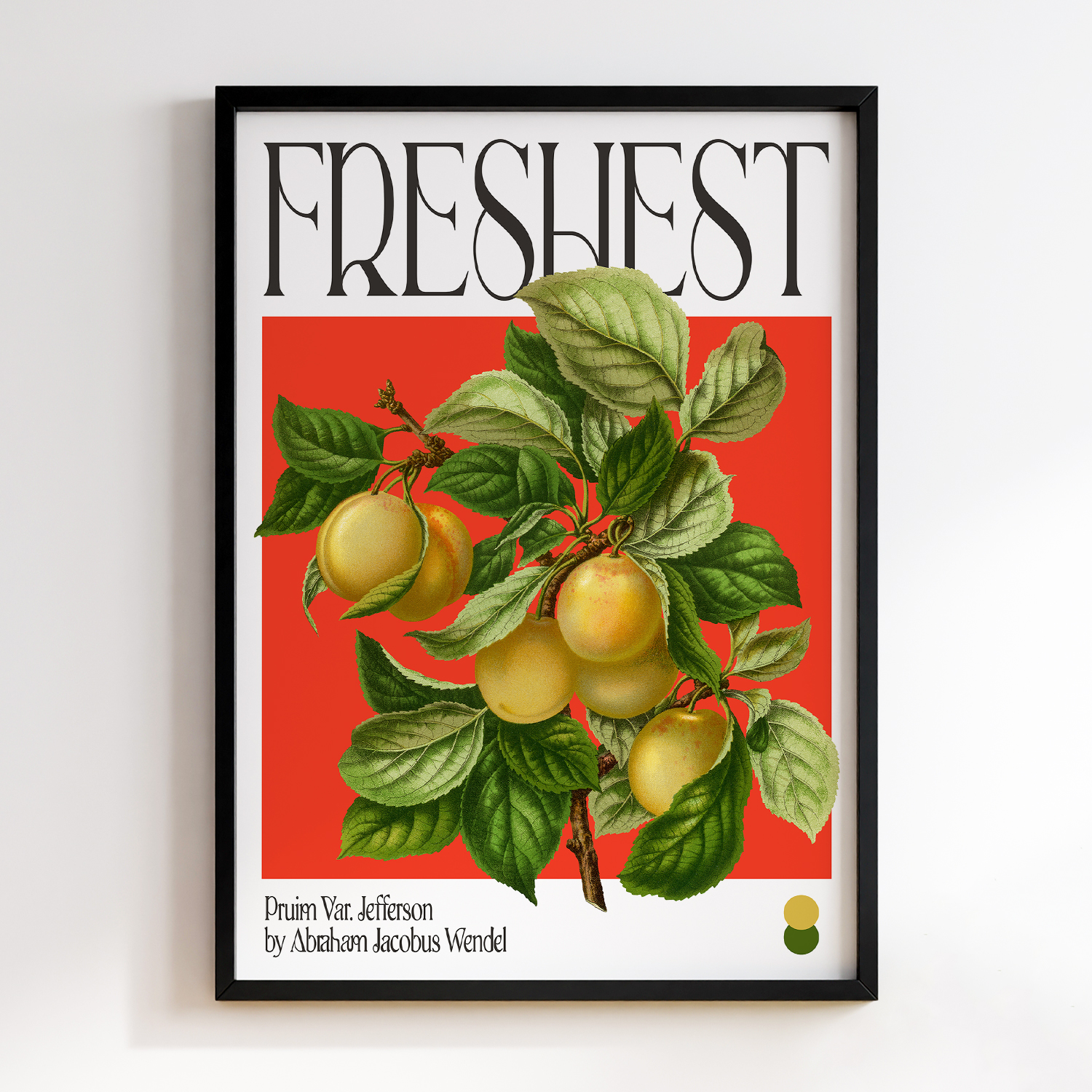 Botanical Pruim Var. Jefferson