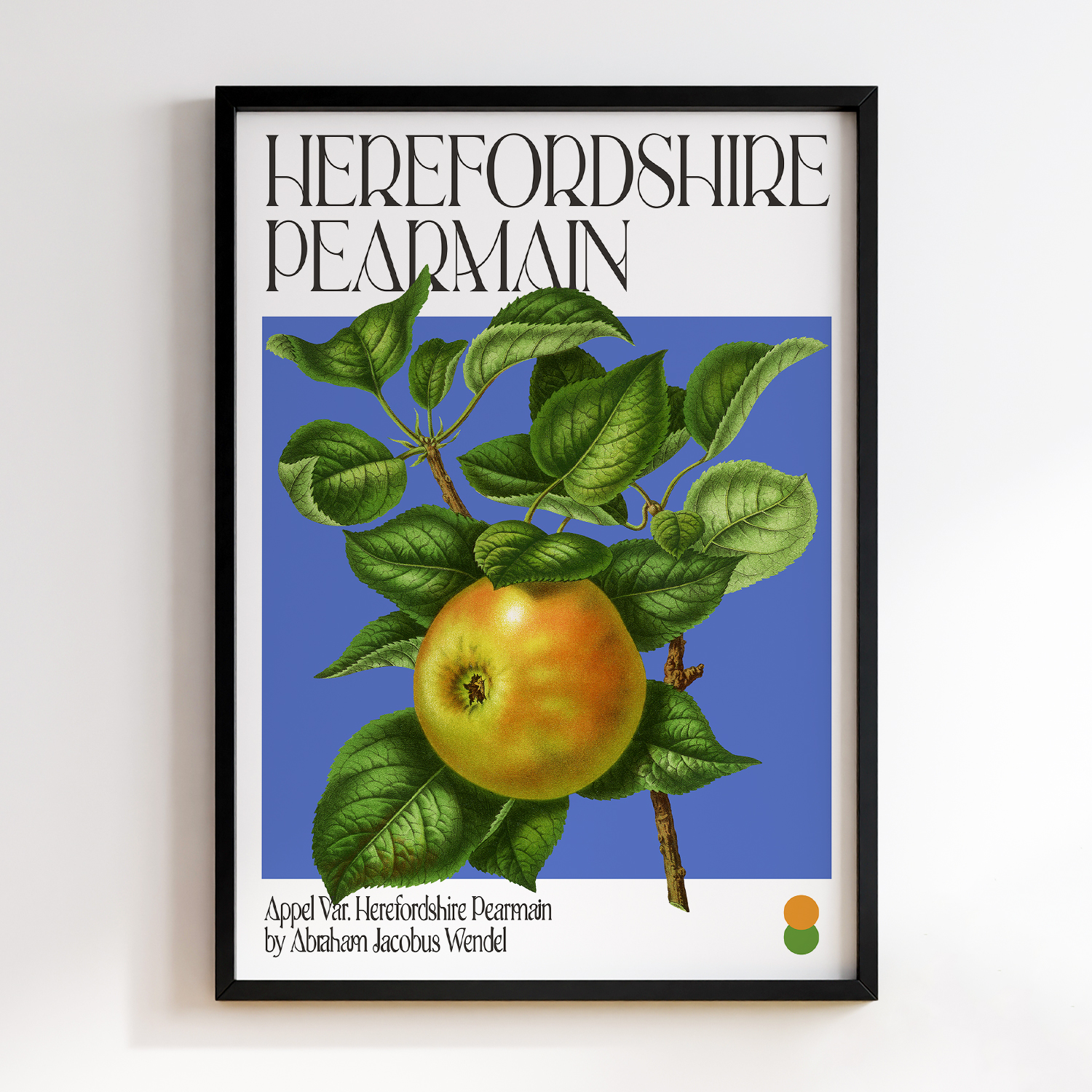 Botanical Appel Var. Herefordshire Pearmain