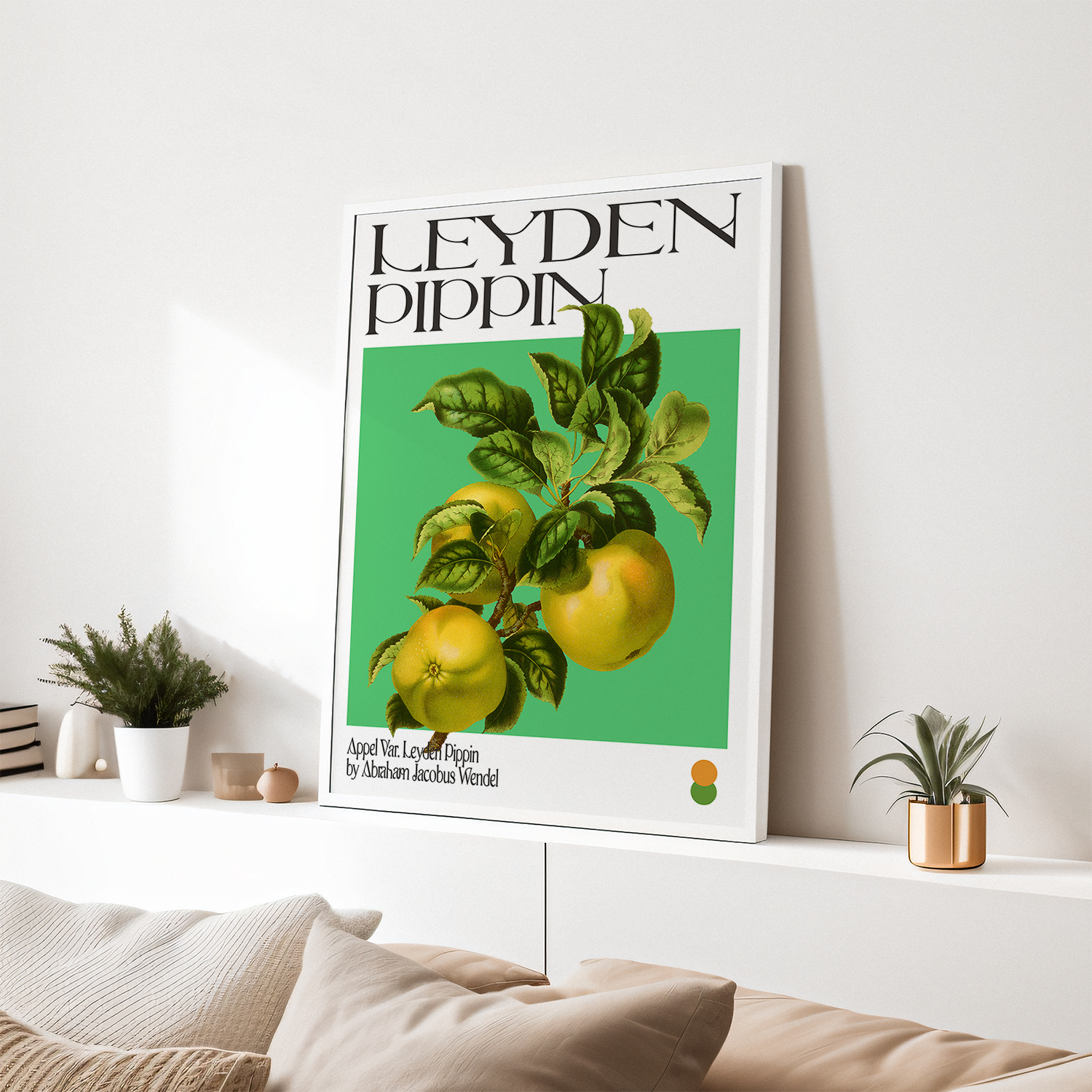 Botanical Appel Var. Leyden Pippin