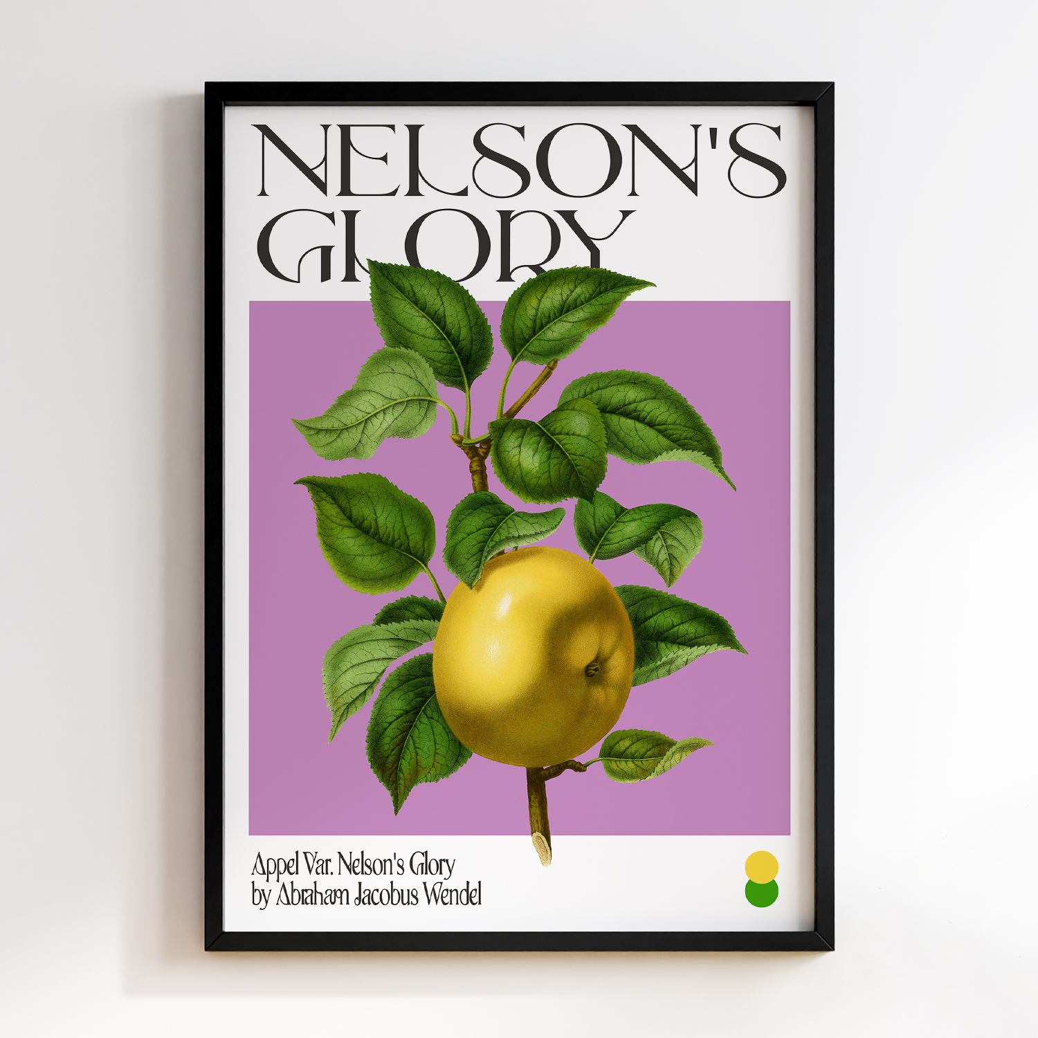 Botanical Appel Var. Nelson's Glory