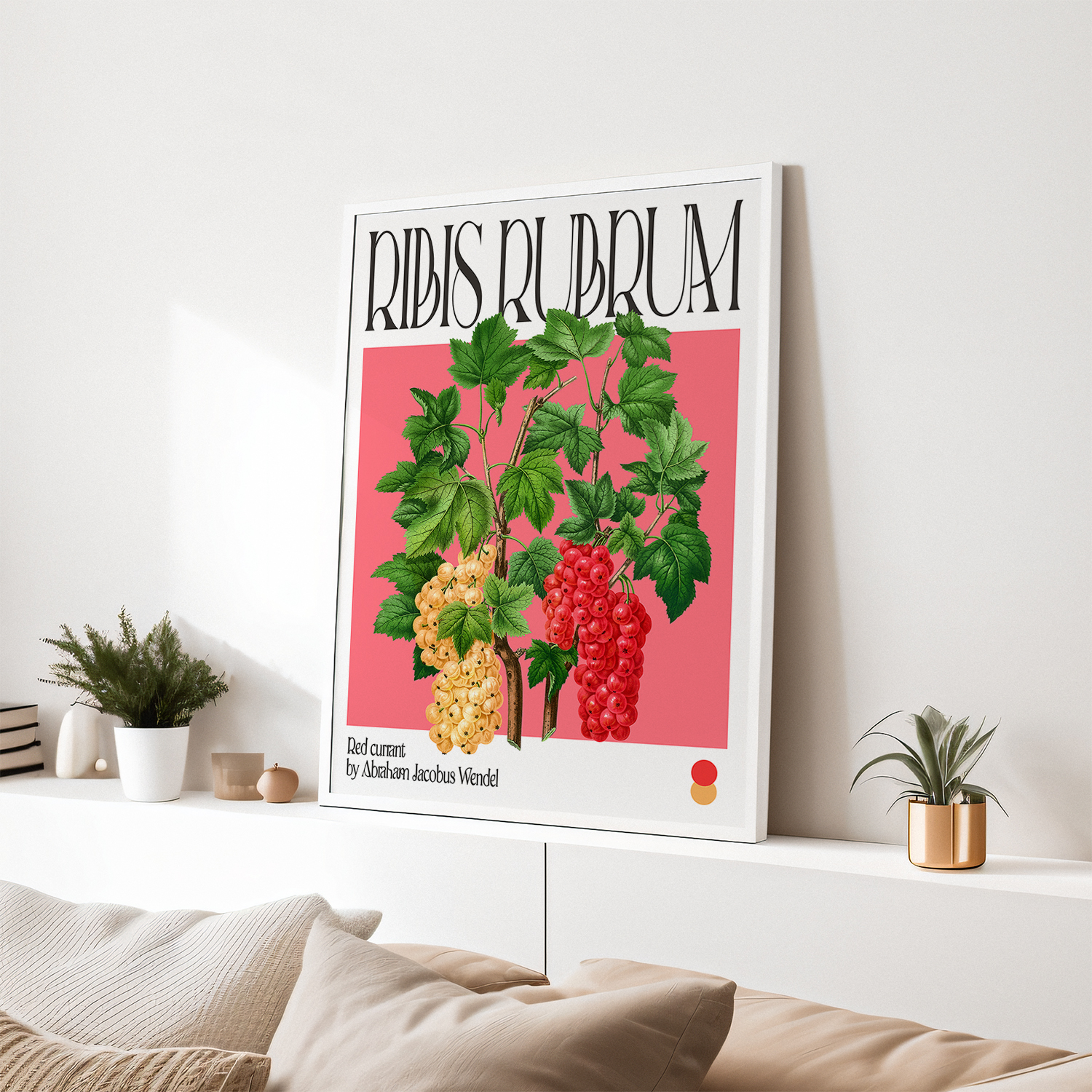 Botanical Red currant