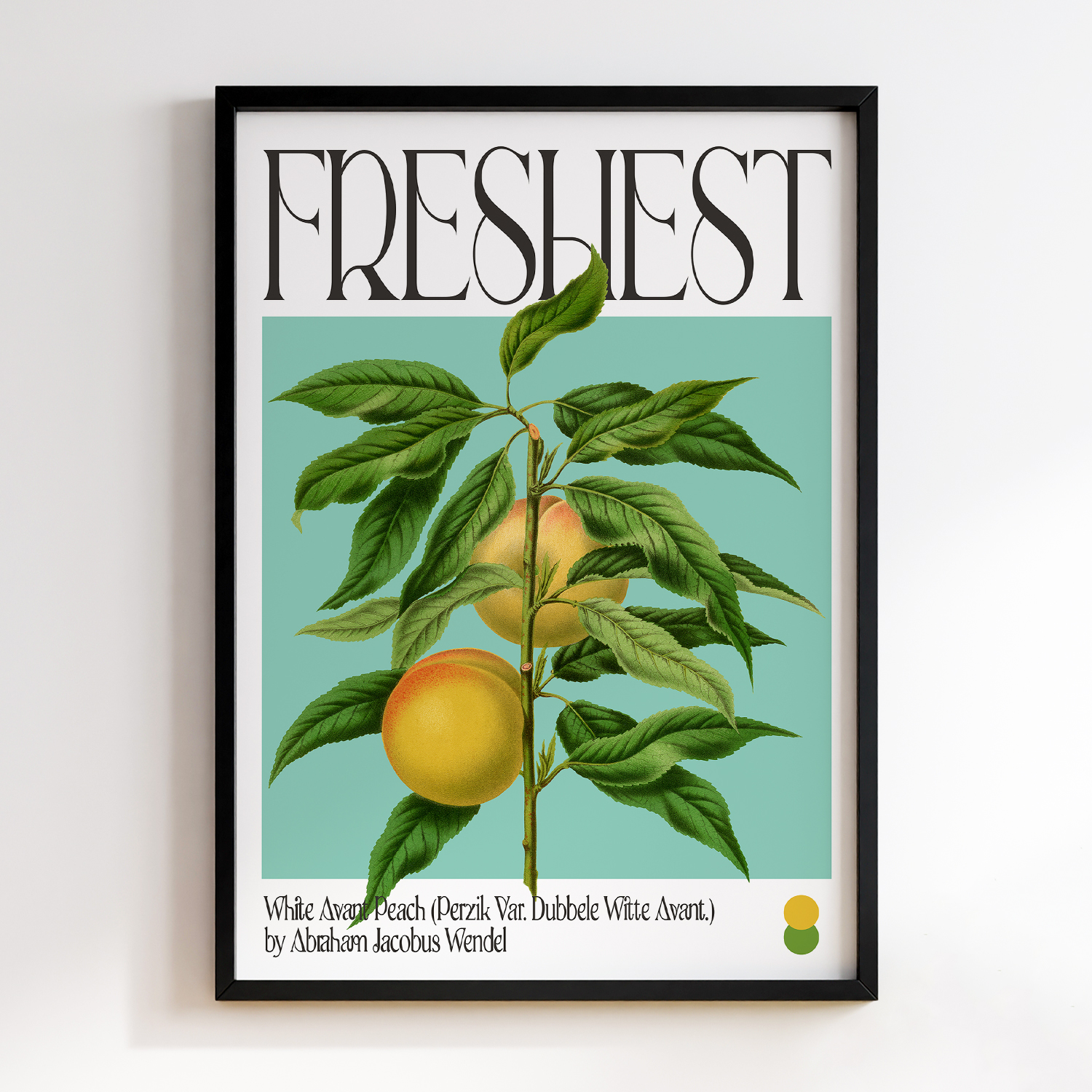 Botanical White Avant Peach (Perzik Var. Dubbele Witte Avant.)