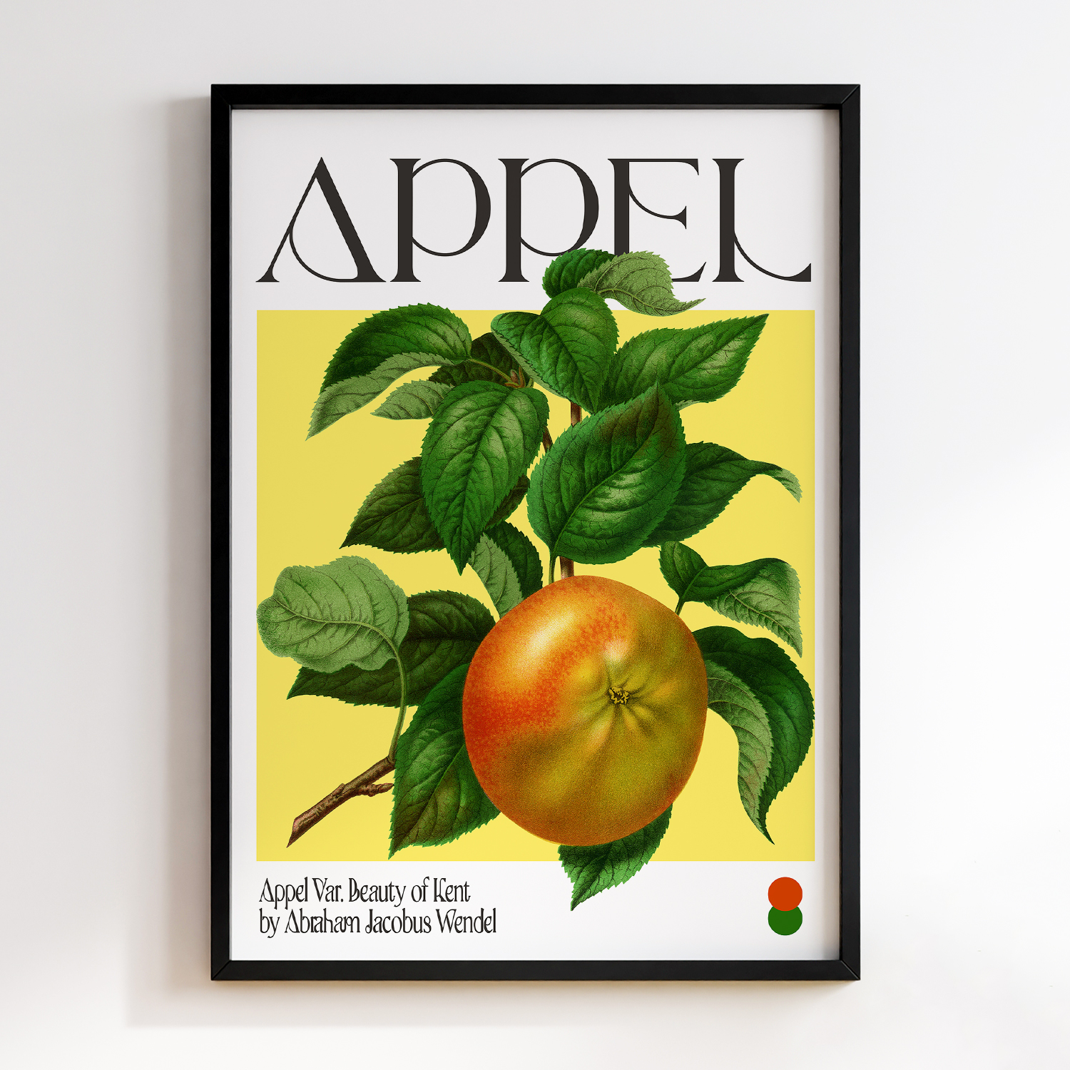 Botanical Appel Var. Beauty of Kent