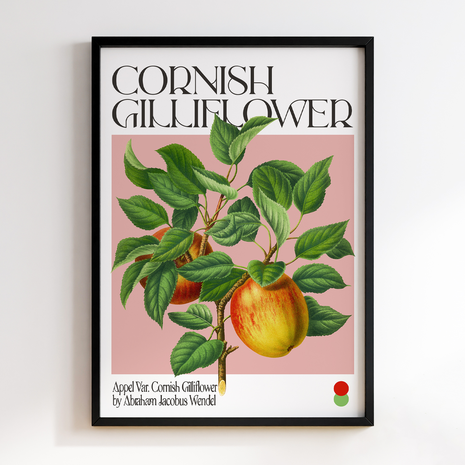 Botanical Appel Var. Cornish Gilliflower