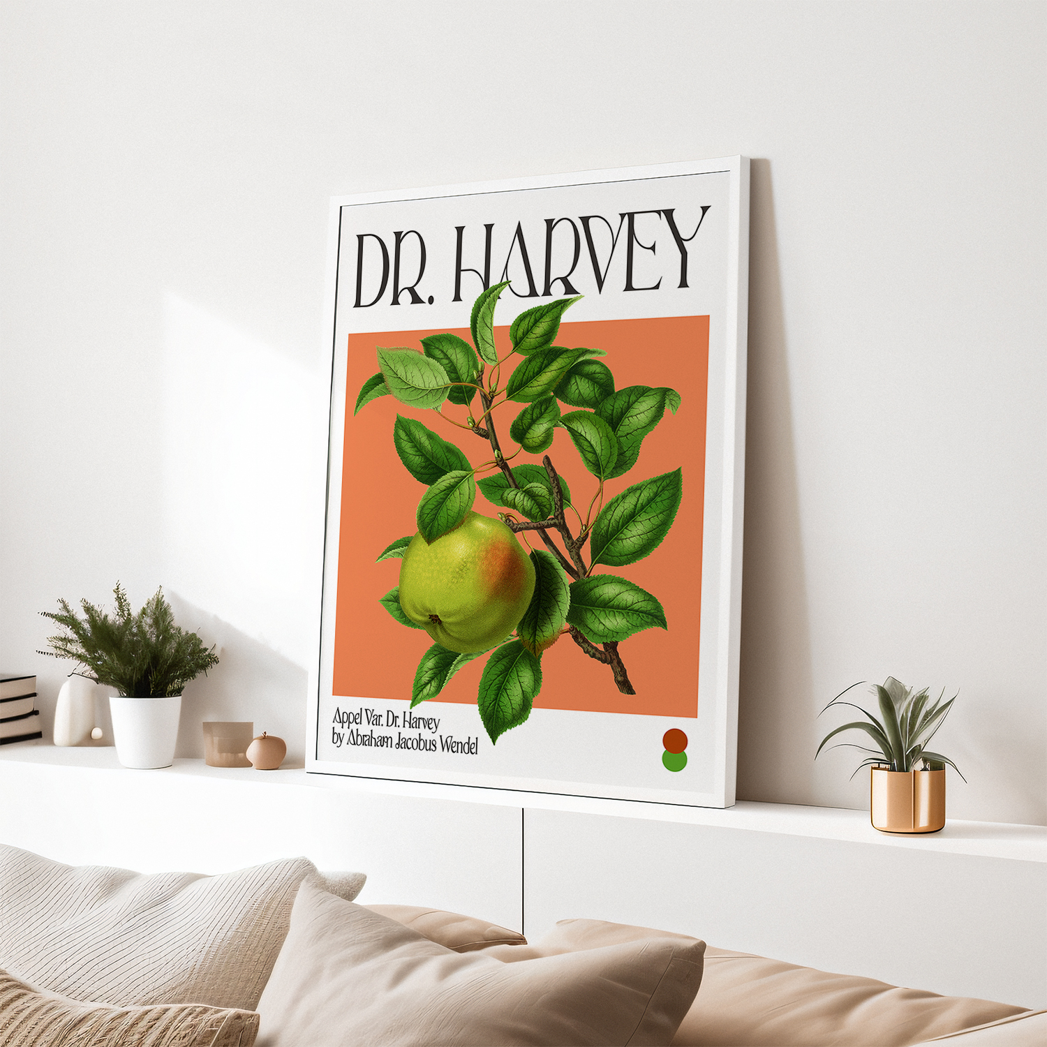 Botanical Appel Var. Dr. Harvey