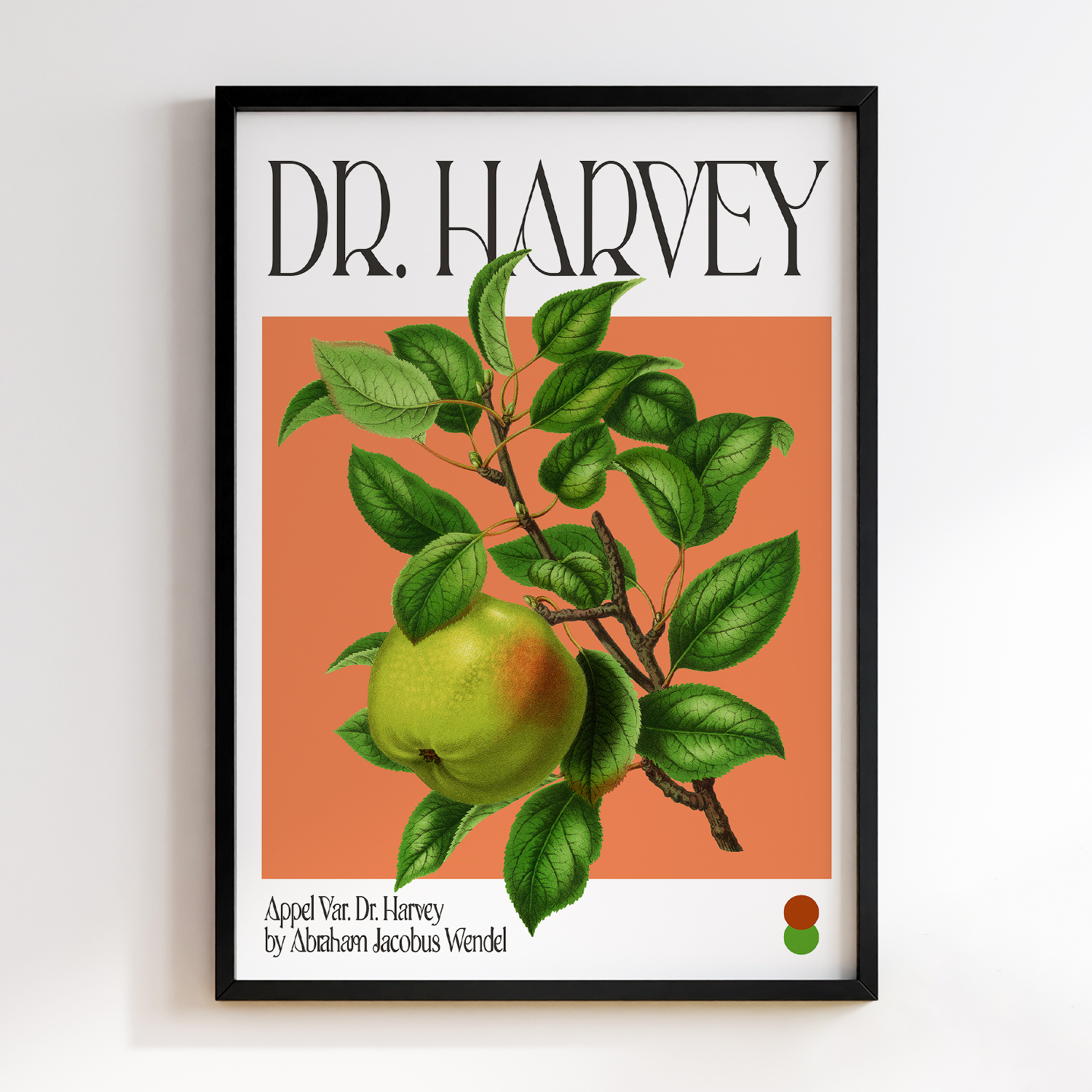 Botanical Appel Var. Dr. Harvey