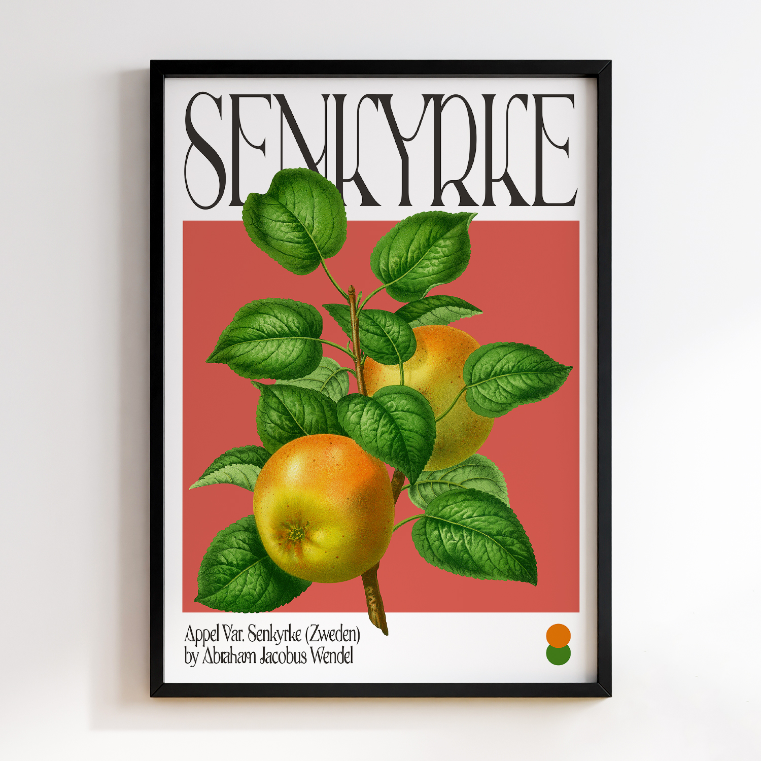Botanical Appel Var. Senkyrke (Zweden)