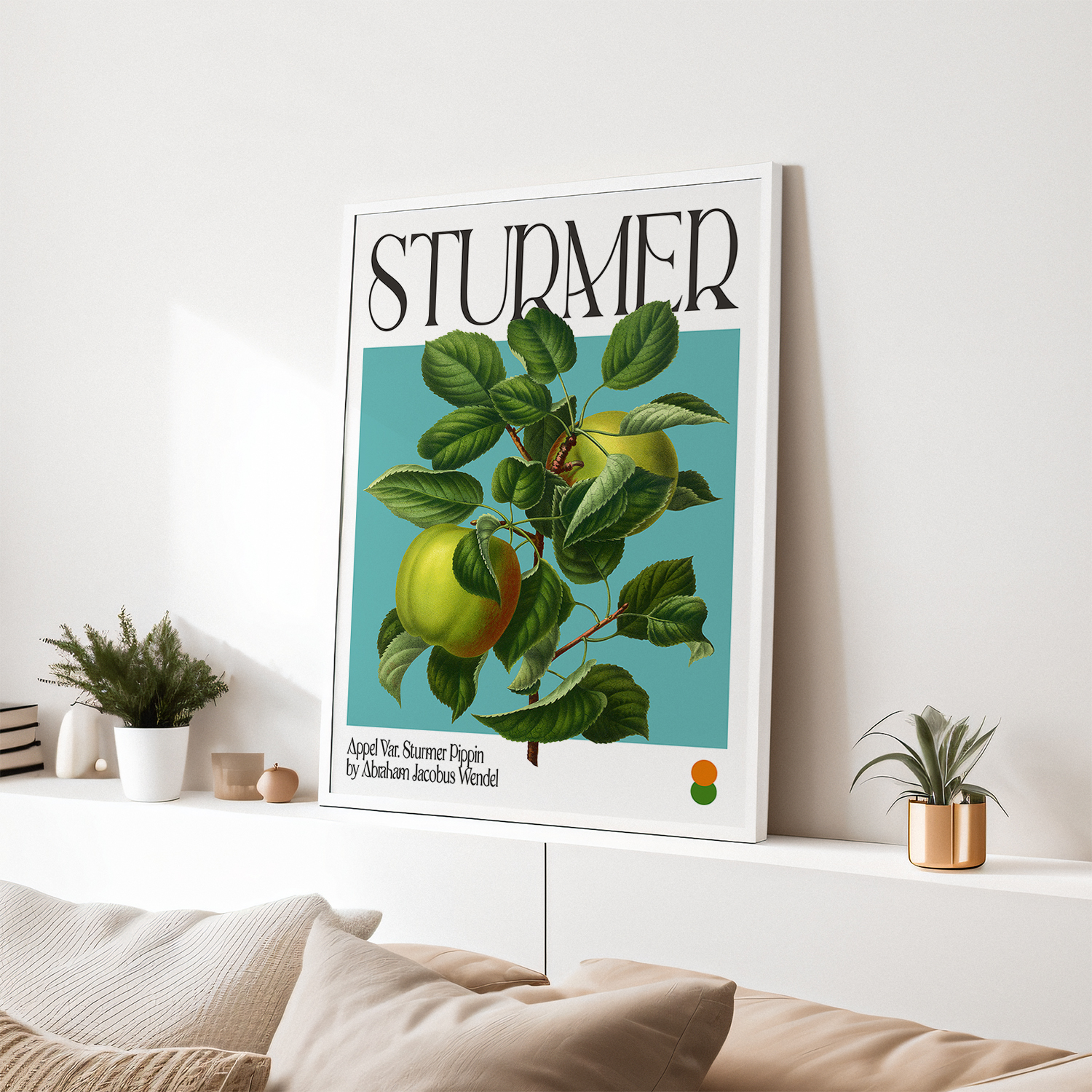 Botanical Appel Var. Sturmer Pippin