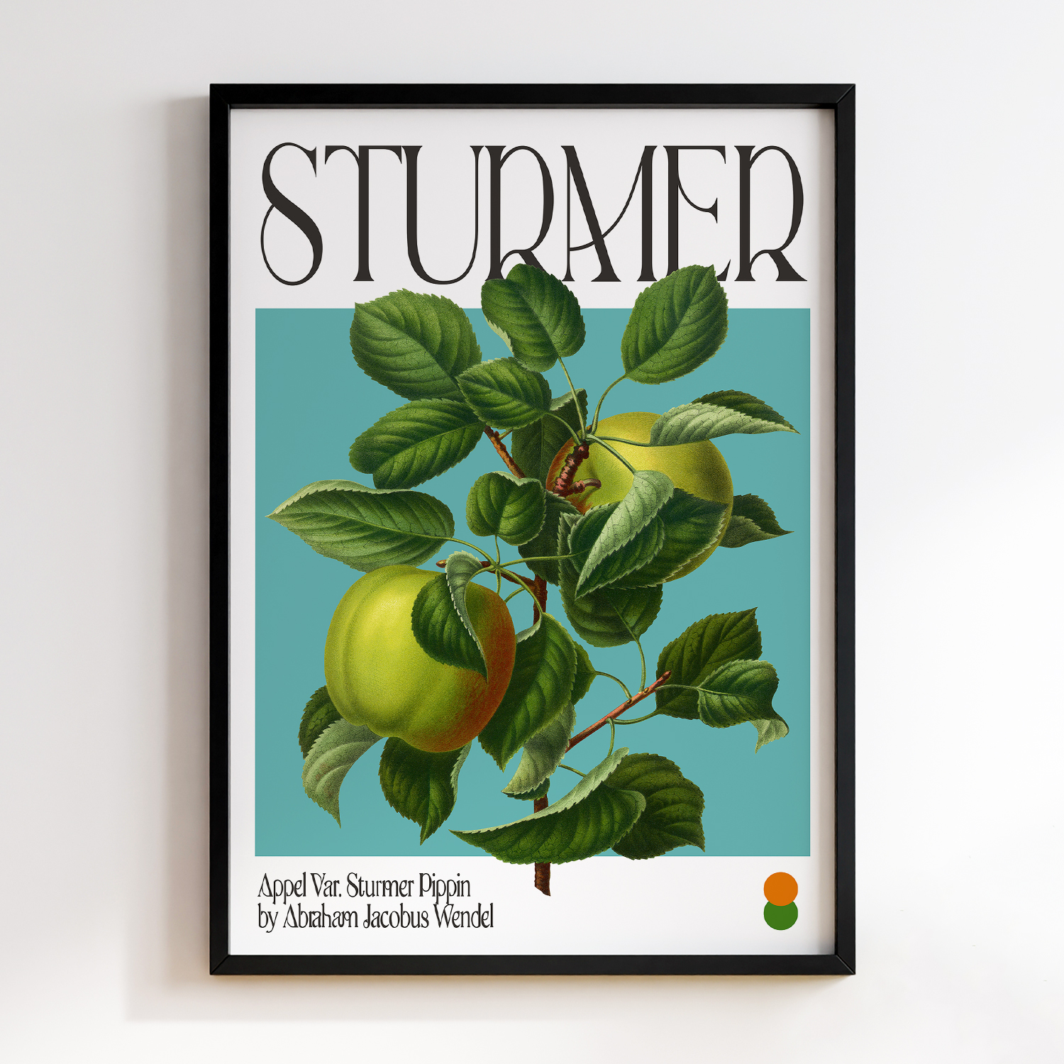 Botanical Appel Var. Sturmer Pippin