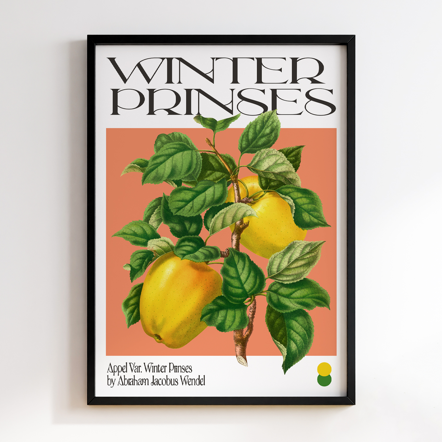 Botanical Appel Var. Winter Prinses