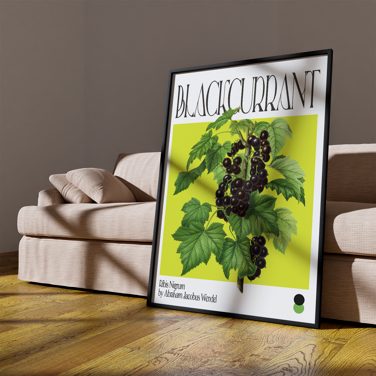 Botanical Blackcurrant (Ribis Nigrum)