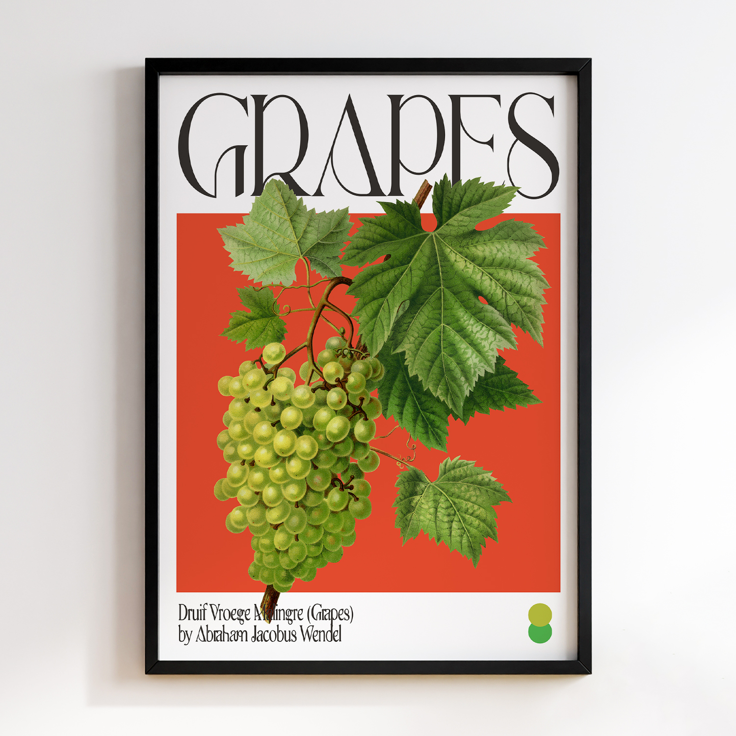 Botanical Druif Vroege Malingre (Grapes)