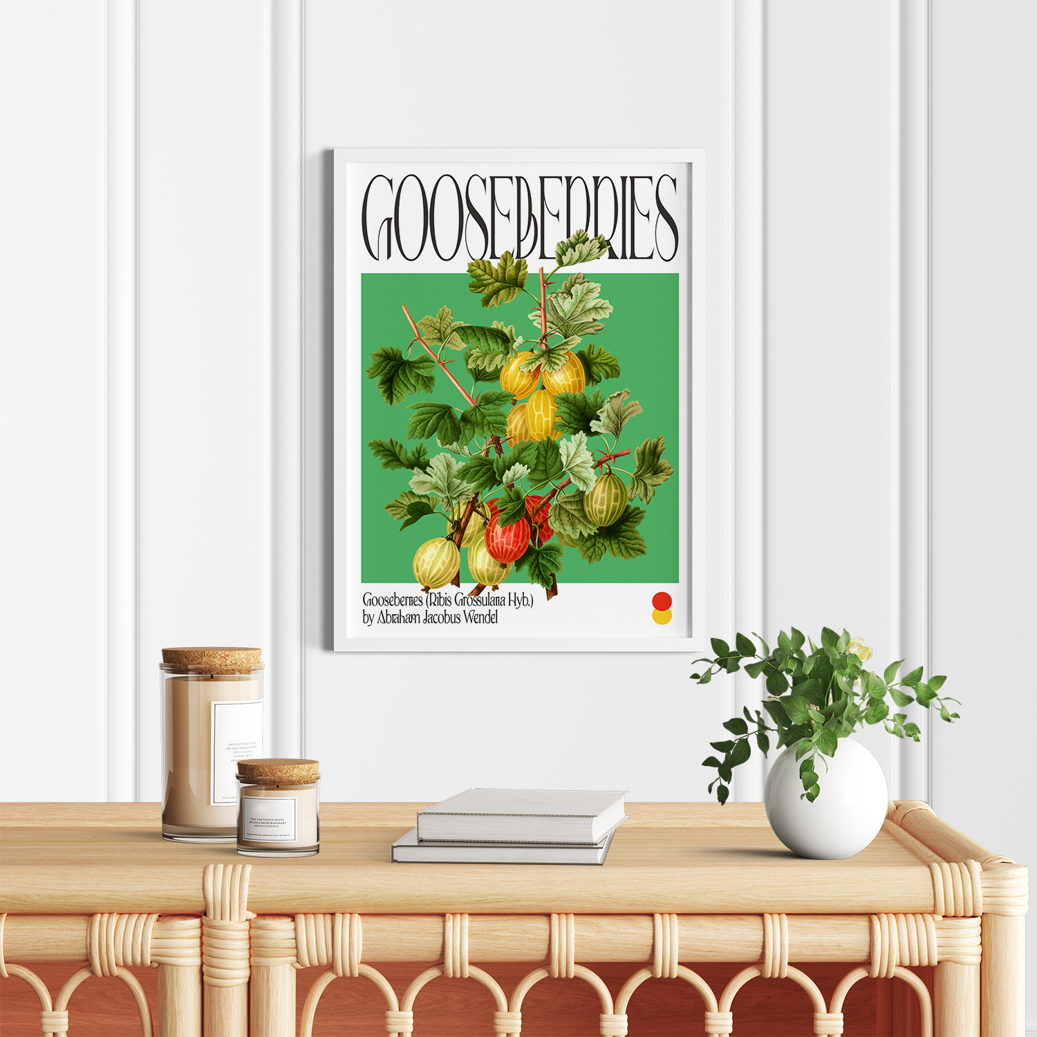 Botanical Gooseberries (Ribis Grossularia Hyb.)