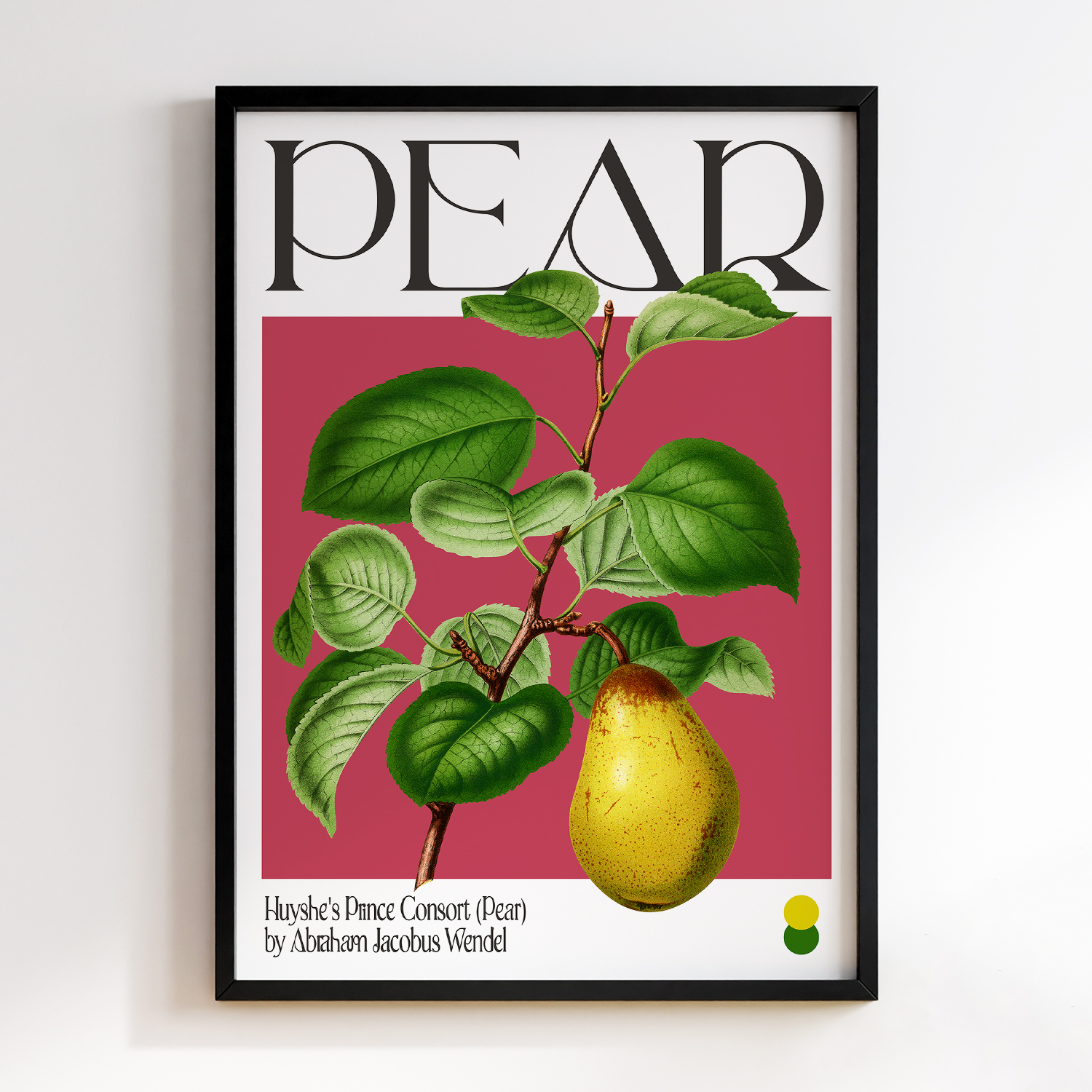 Botanical Huyshe's Prince Consort (Pear)