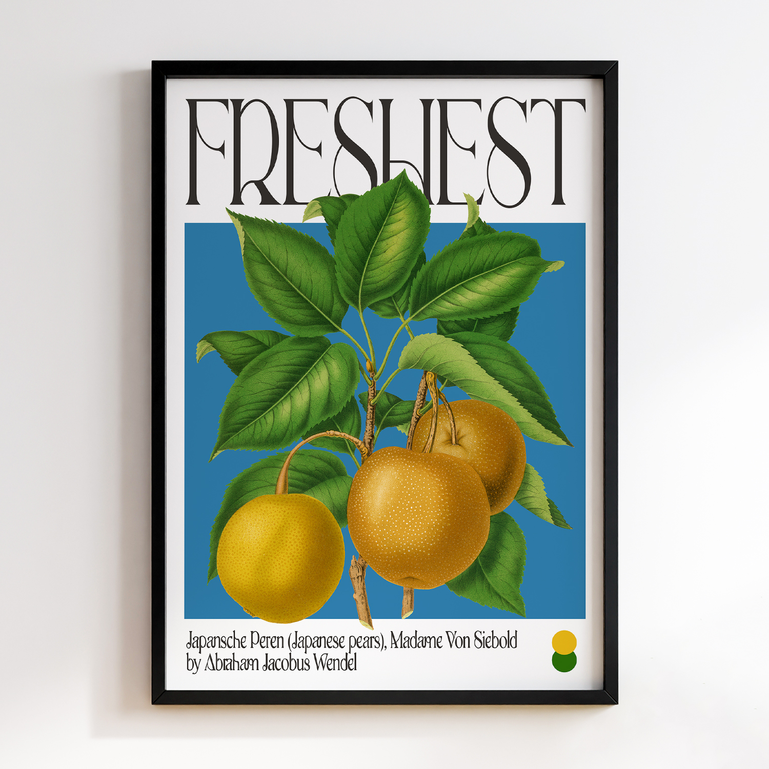 Botanical Japansche Peren (Japanese pears), Madame Von Siebold