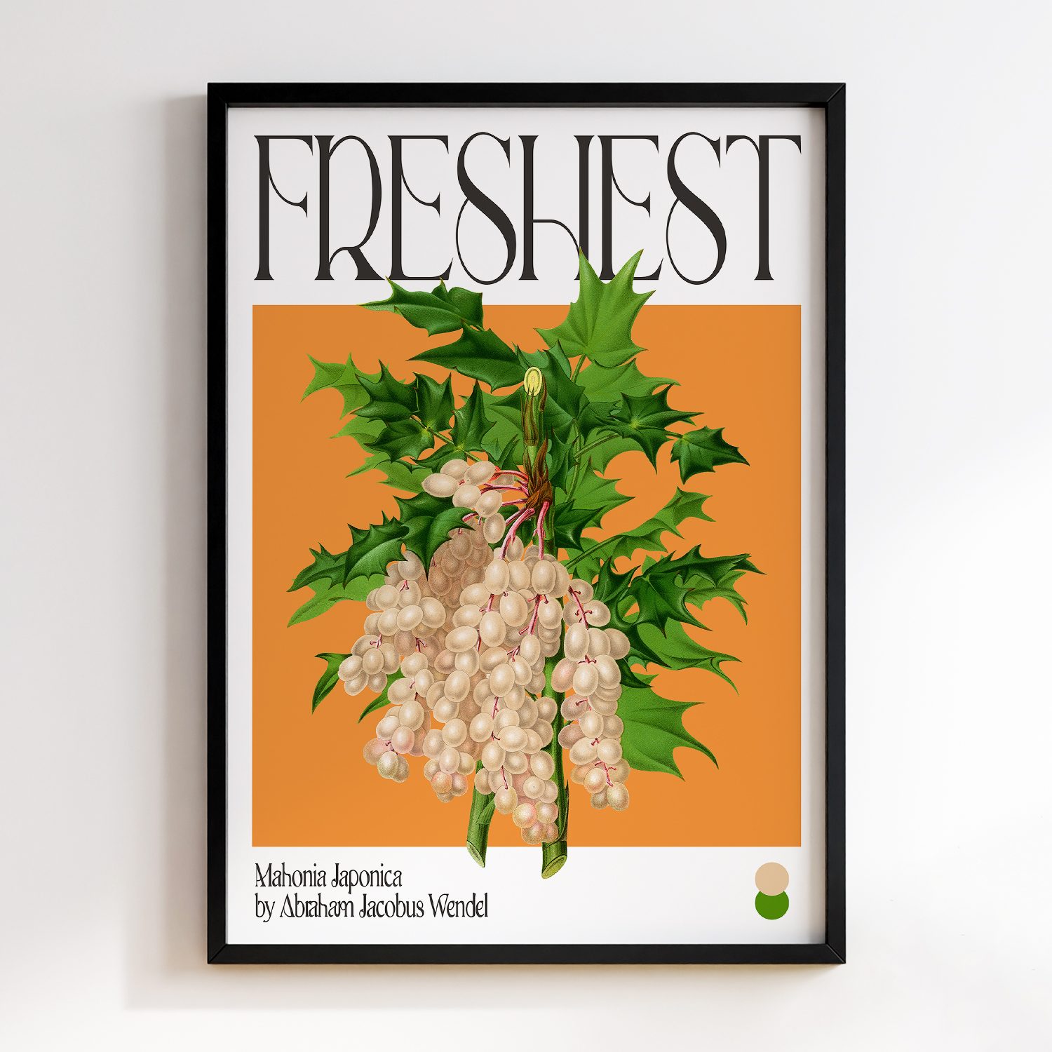 Botanical Mahonia Japonica