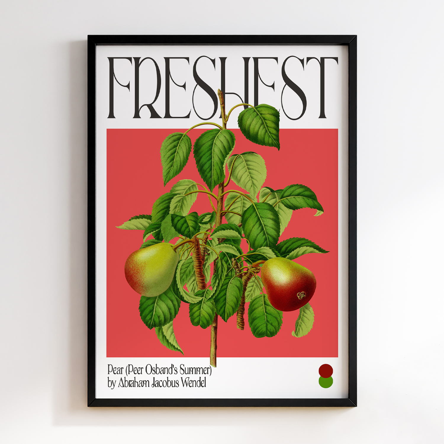 Botanical Pear (Peer Osband's Summer)