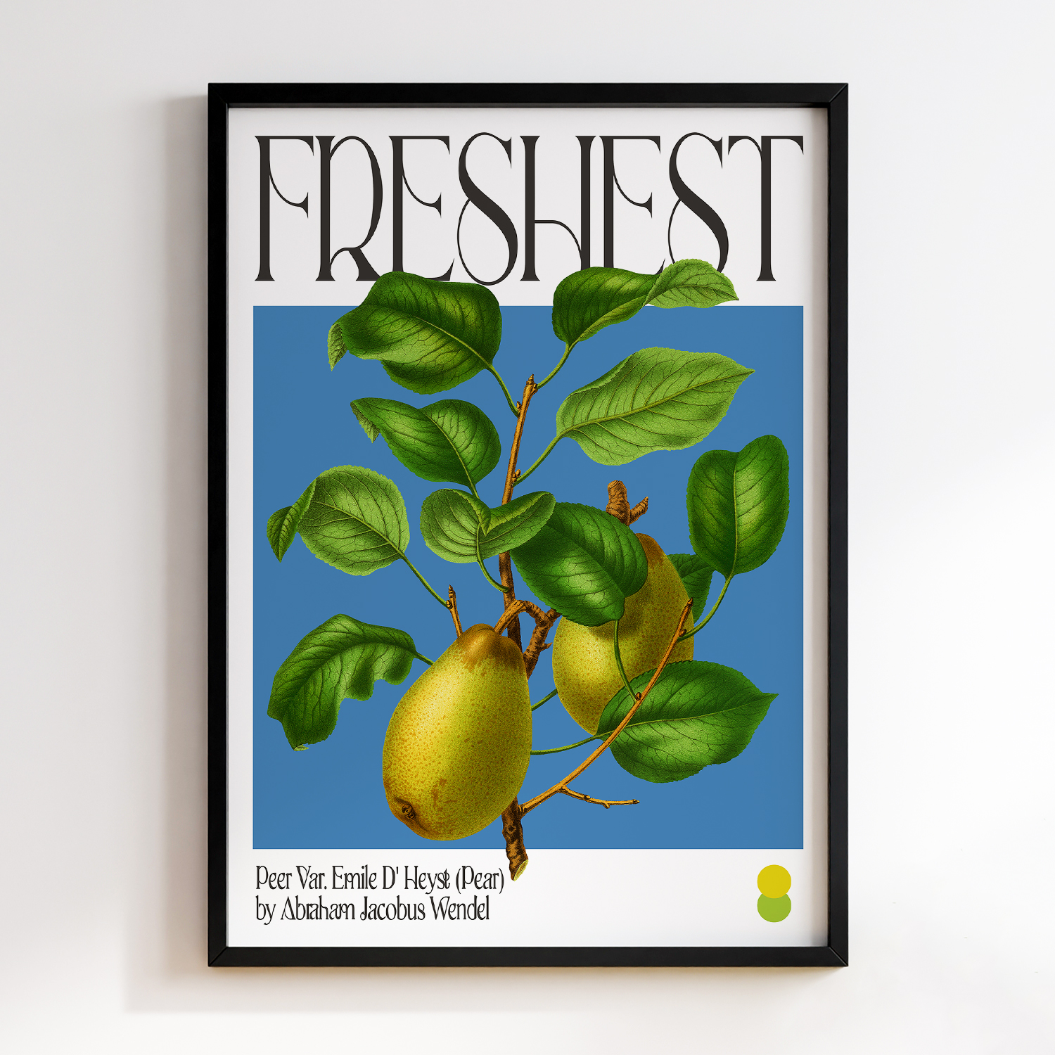 Botanical Peer Var. Emile D' Heyst (Pear)