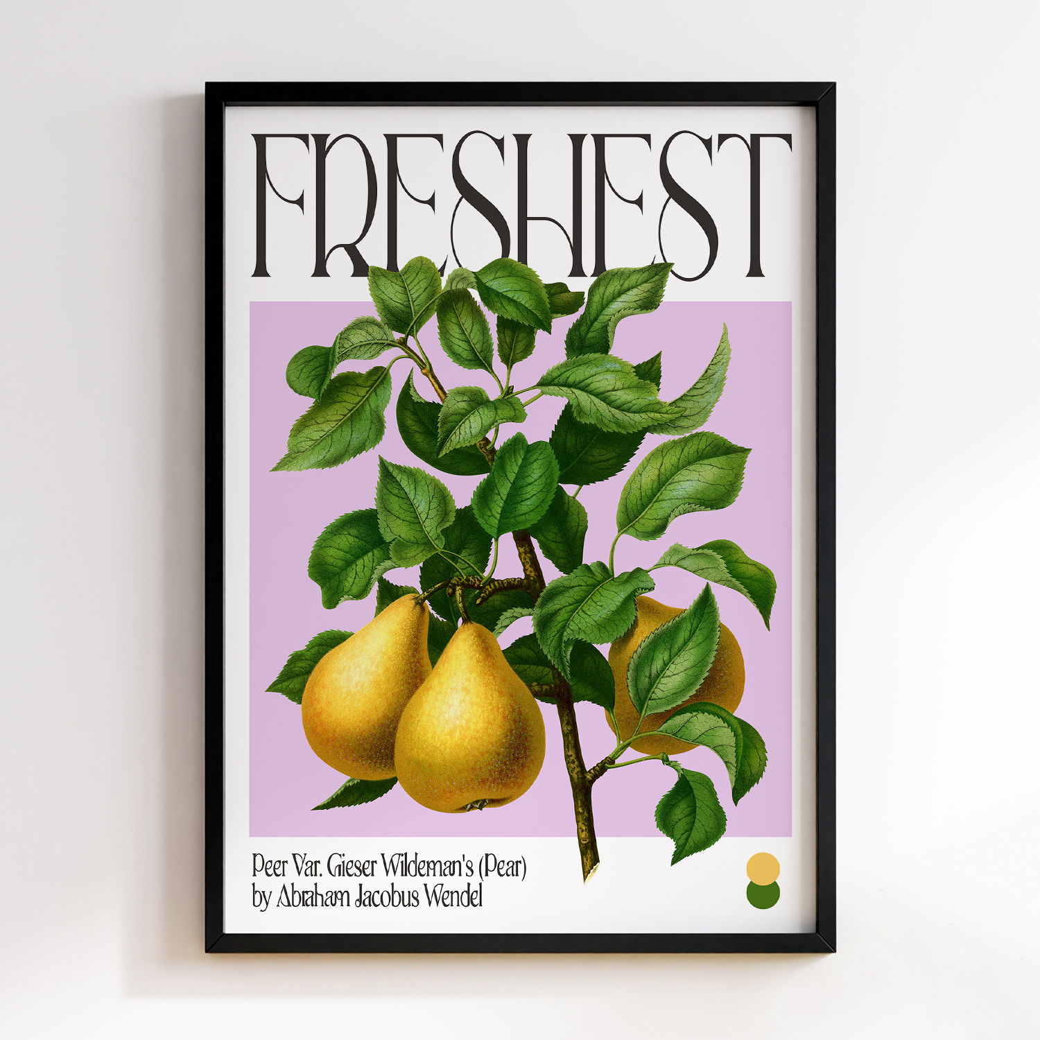 Botanical Peer Var. Gieser Wildeman's (Pear)