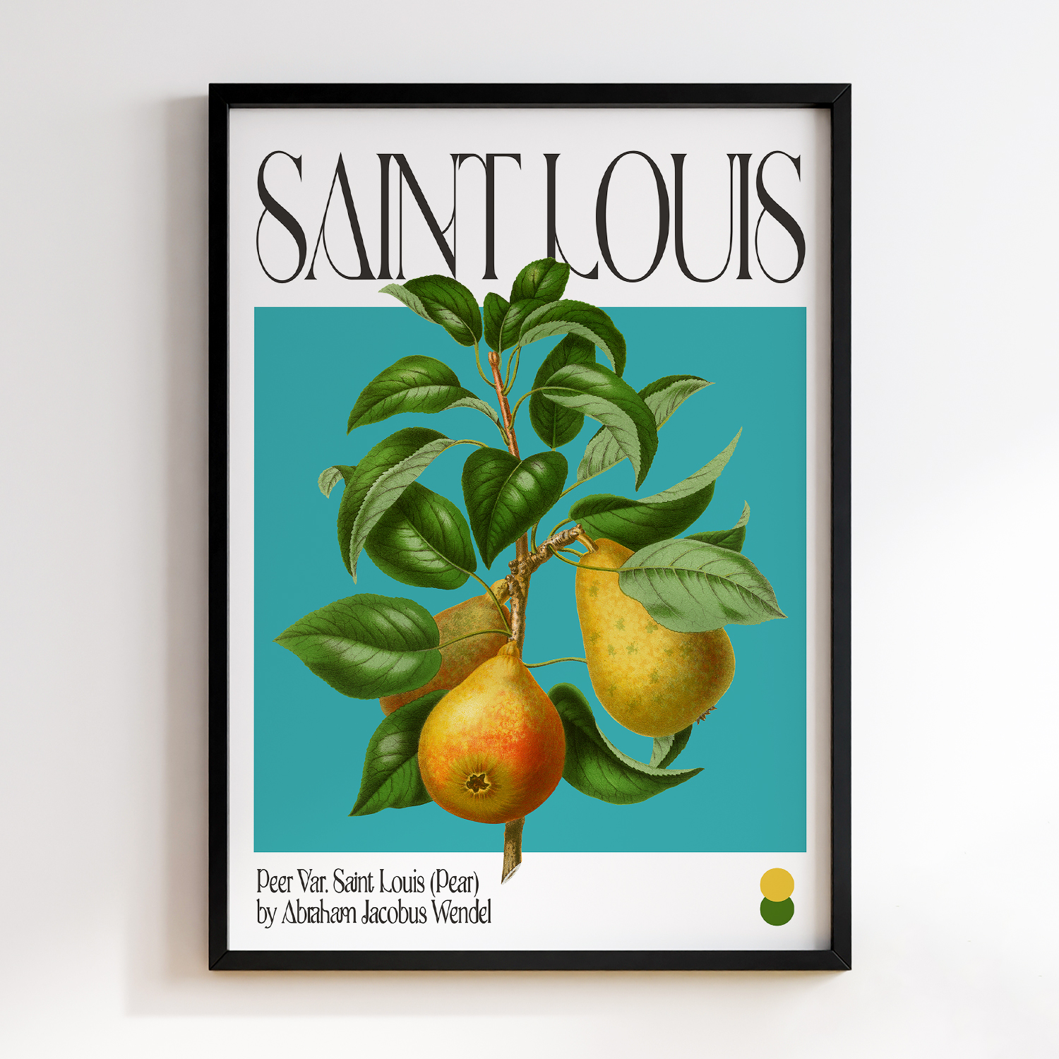 Botanical Peer Var. Saint Louis (Pear)