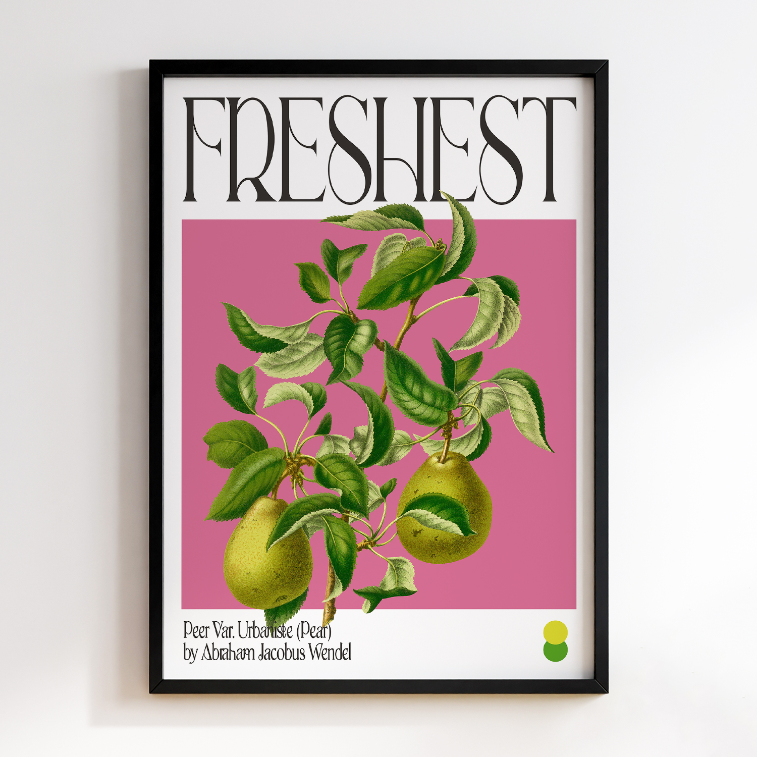 Botanical Peer Var. Urbaniste (Pear)