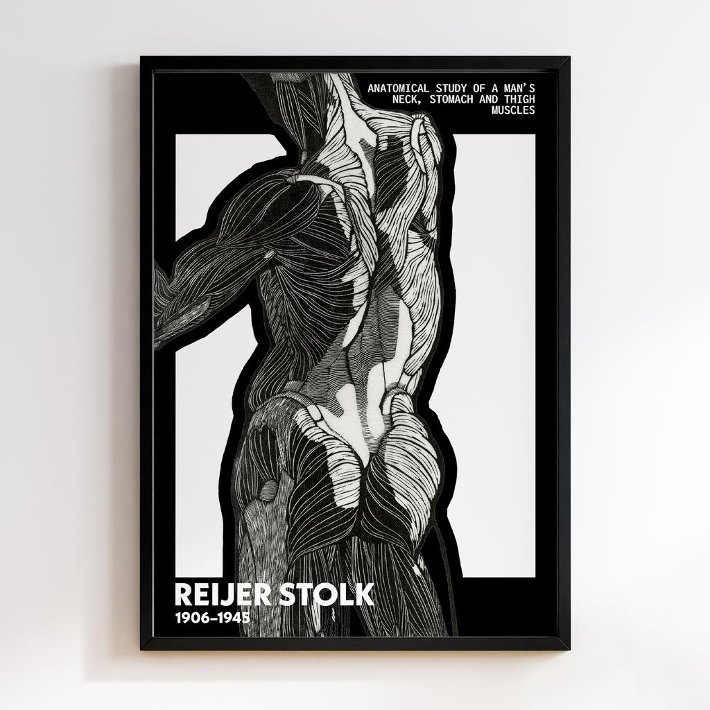 Anatomical study of a man's back and gluteal muscles by Reijer Stolk