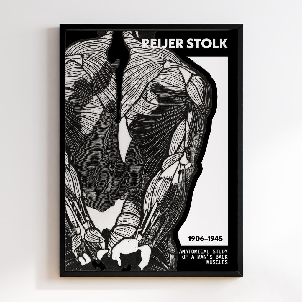 Anatomical study of a man's back muscles by Reijer Stolk