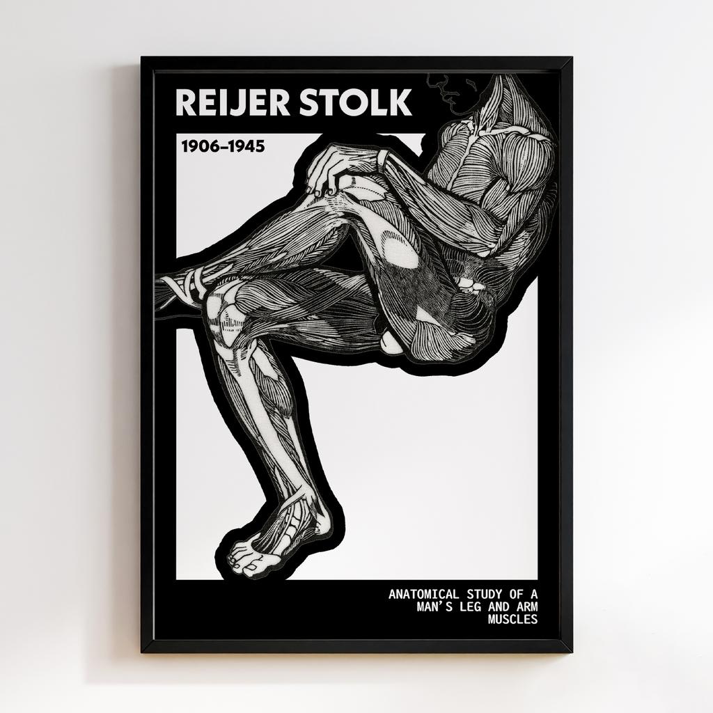 Anatomical study of a man's leg and arm muscles by Reijer Stolk