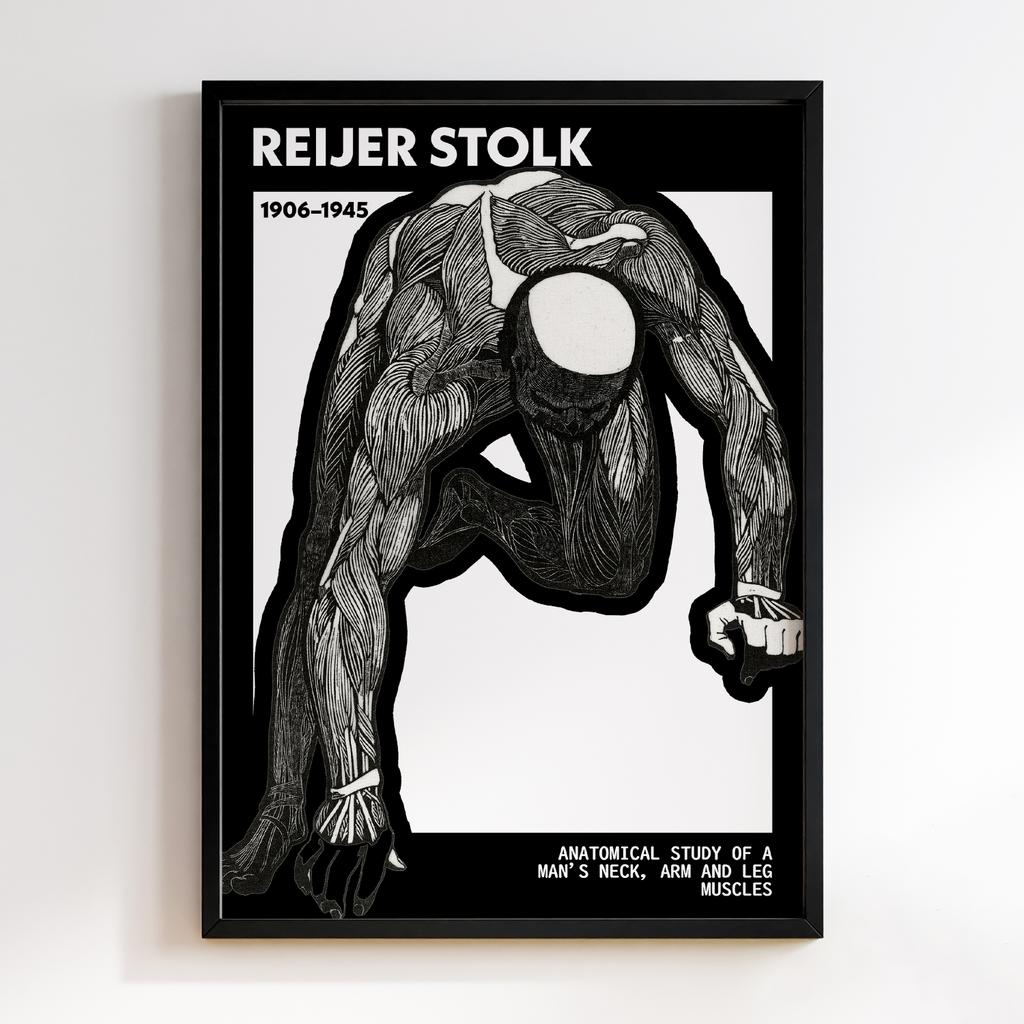 Anatomical study of a man's neck, arm and leg muscles by Reijer Stolk