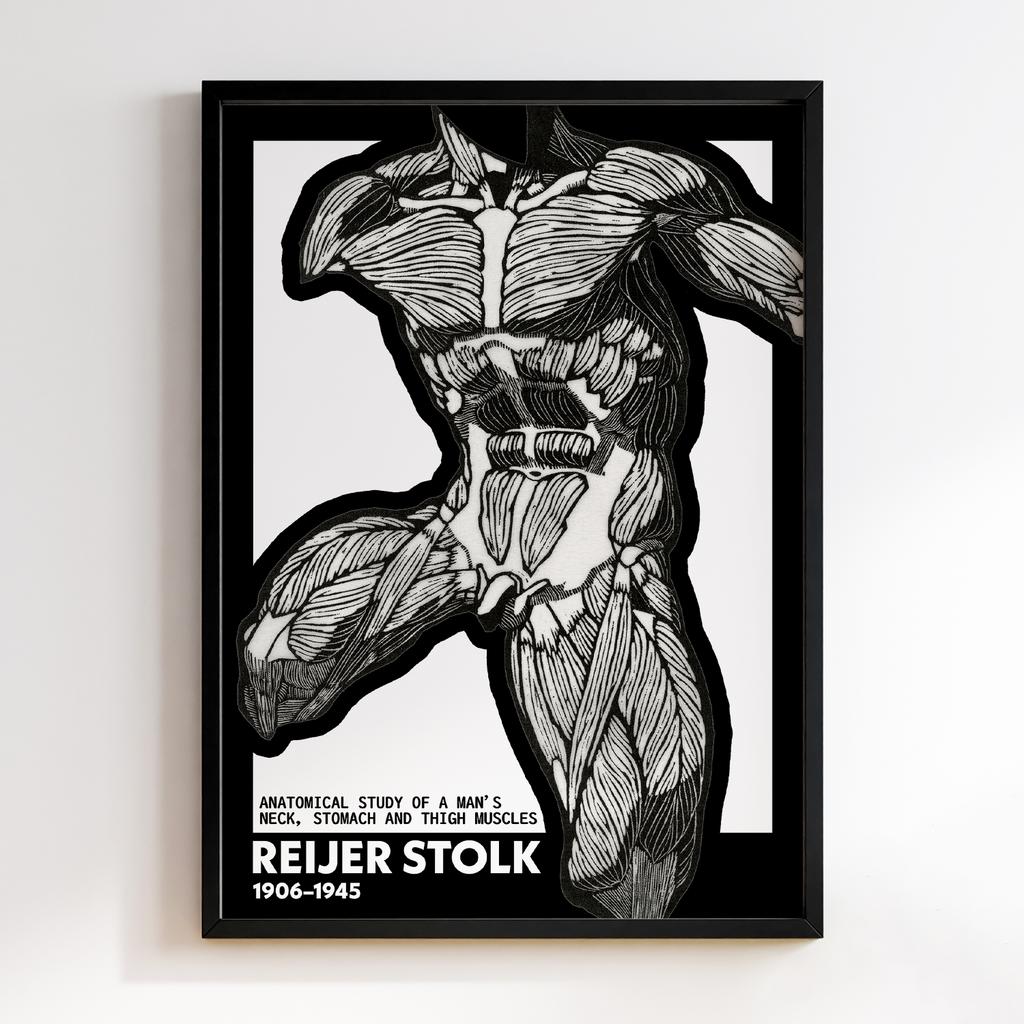 Anatomical study of a man's neck, stomach and thigh muscles by Reijer Stolk