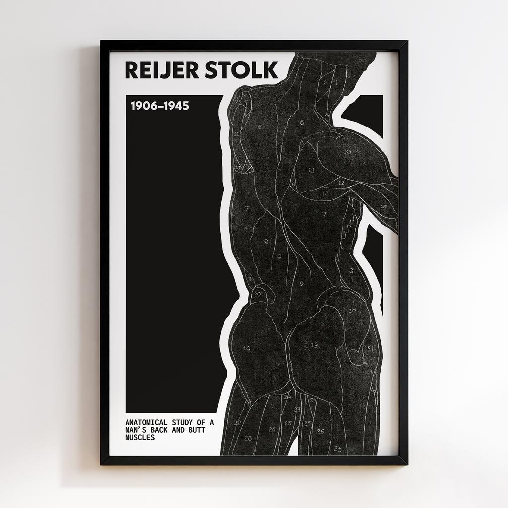 Anatomical study of a man's back and butt muscles (1906–1945) by Reijer Stolk