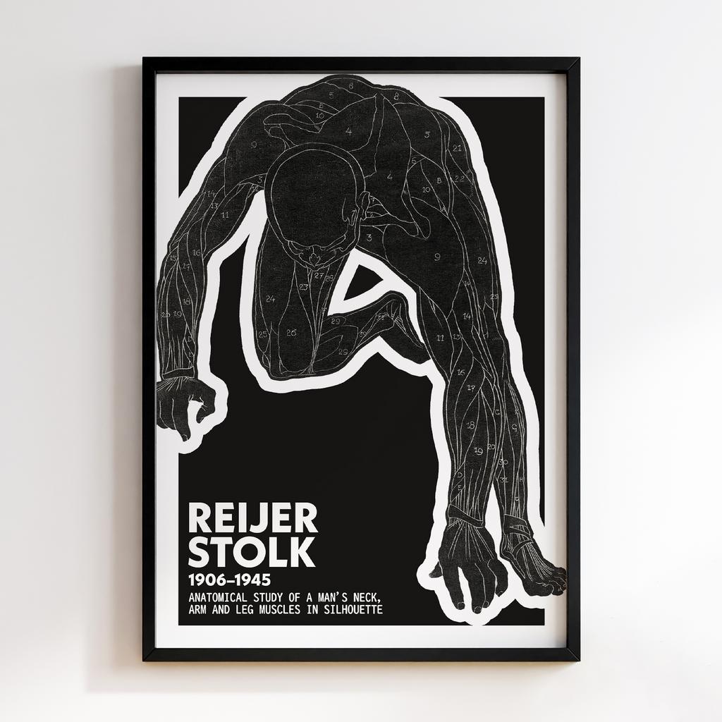 Anatomical study of a man's neck, stomach and thigh muscles by Reijer Stolk