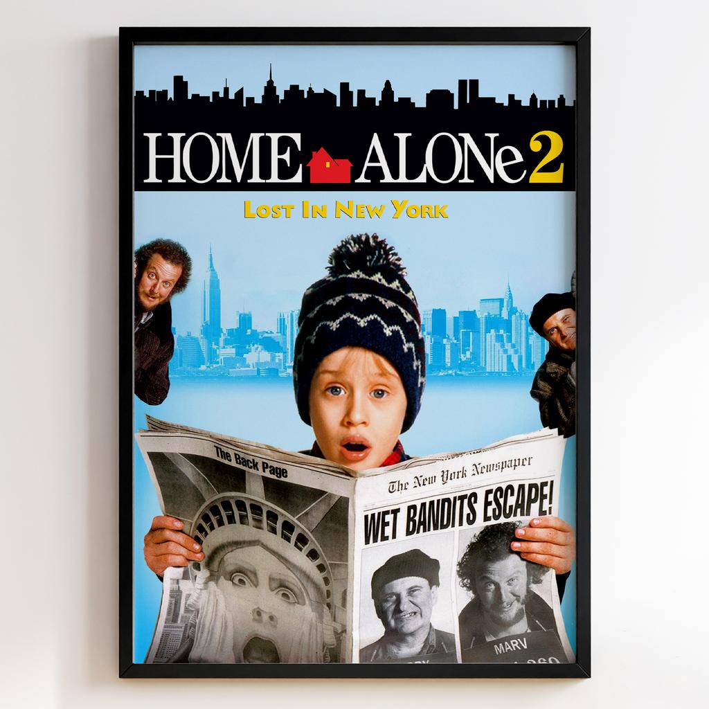 Сам Удома | Home Alone 2 Lost in New York 1992 #10815