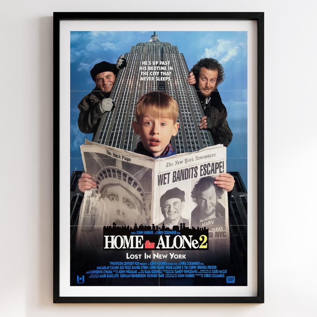 Сам Удома | Home Alone 2 Lost in New York 1992 #10816