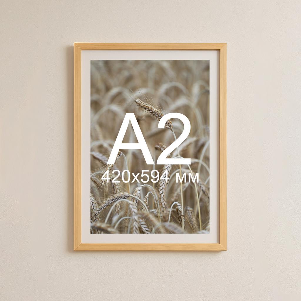 Деревʼяна рамка 50×68 см з білим паспарту під A2 (42×59,4 см)