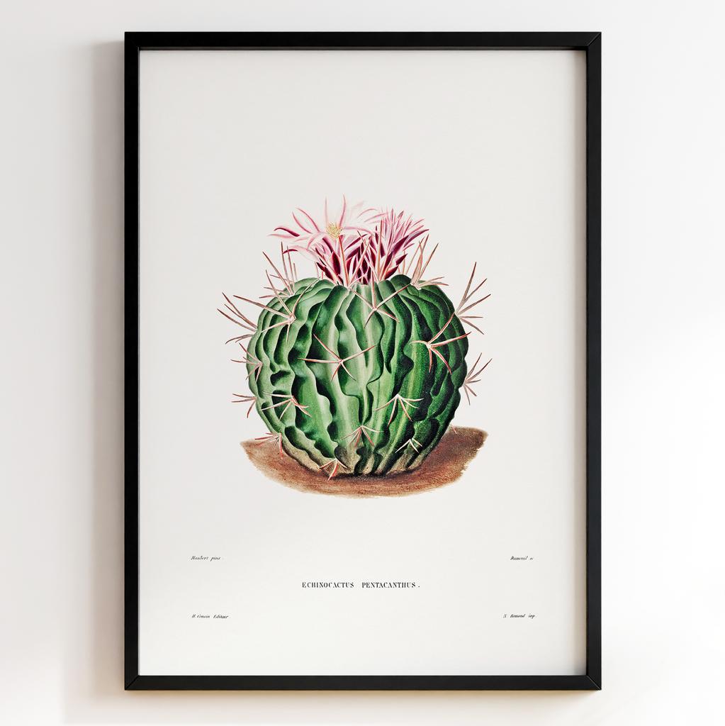 Вінтажний ботанічний постер Charles Antoine Lemaire Арт: 27535