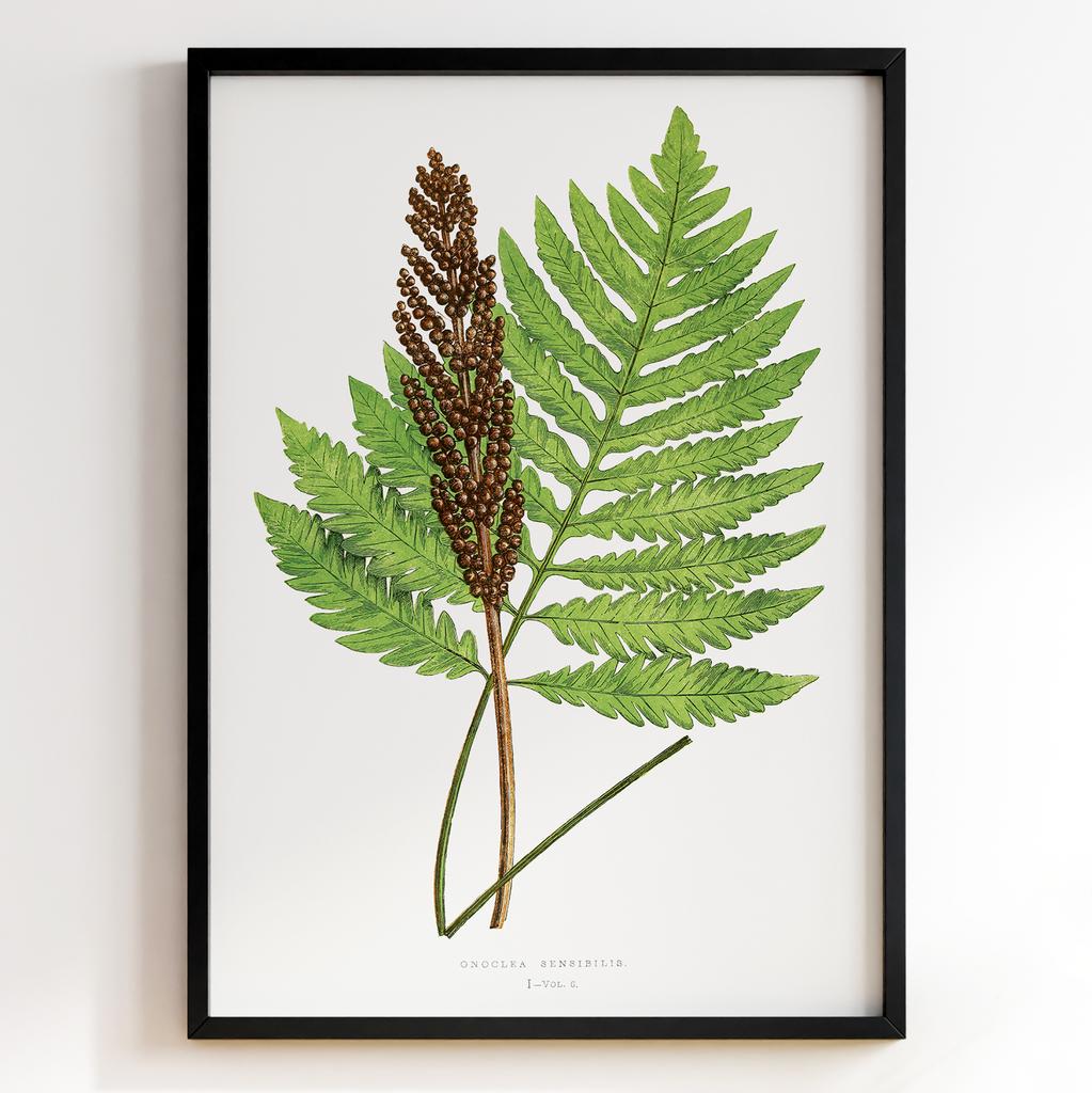 Edward Joseph Lowe – Ботанічний постер із листям Арт: 27589