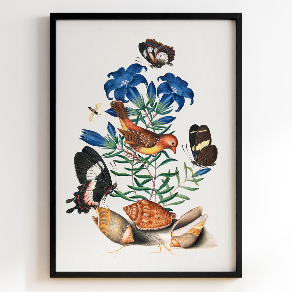 Ботанічні постери Джеймс Болтон | James Bolton Арт: 28442