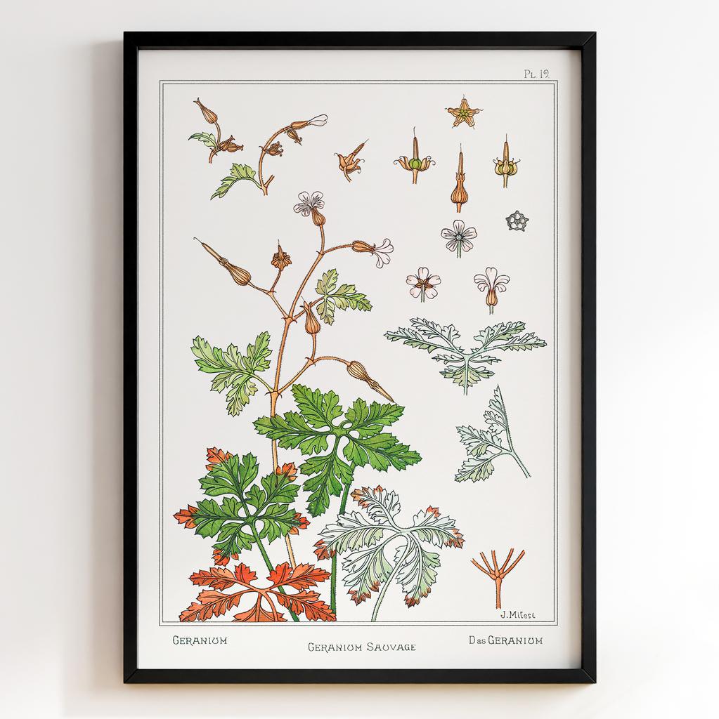 Постер Моріс Пійяр Вернейль | Maurice Pillard Verneuil Арт: 28657