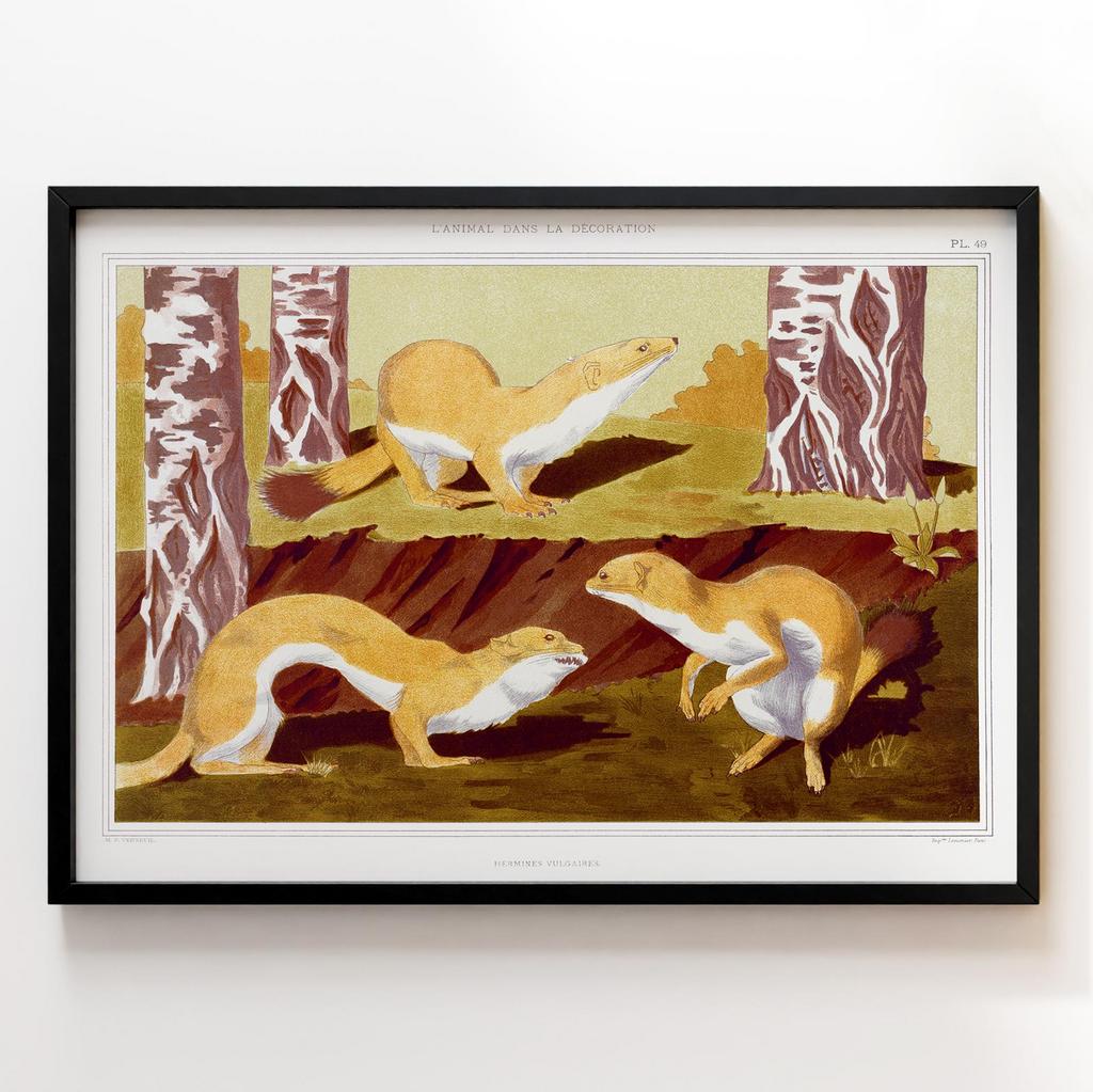 Постер Моріс Пійяр Вернейль | Maurice Pillard Verneuil Арт: 28663