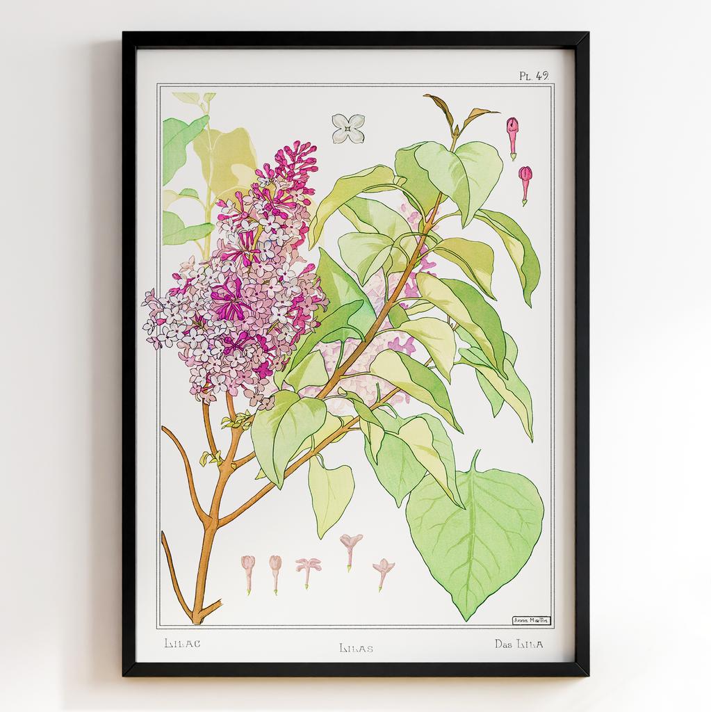 Постер Моріс Пійяр Вернейль | Maurice Pillard Verneuil Арт: 28677